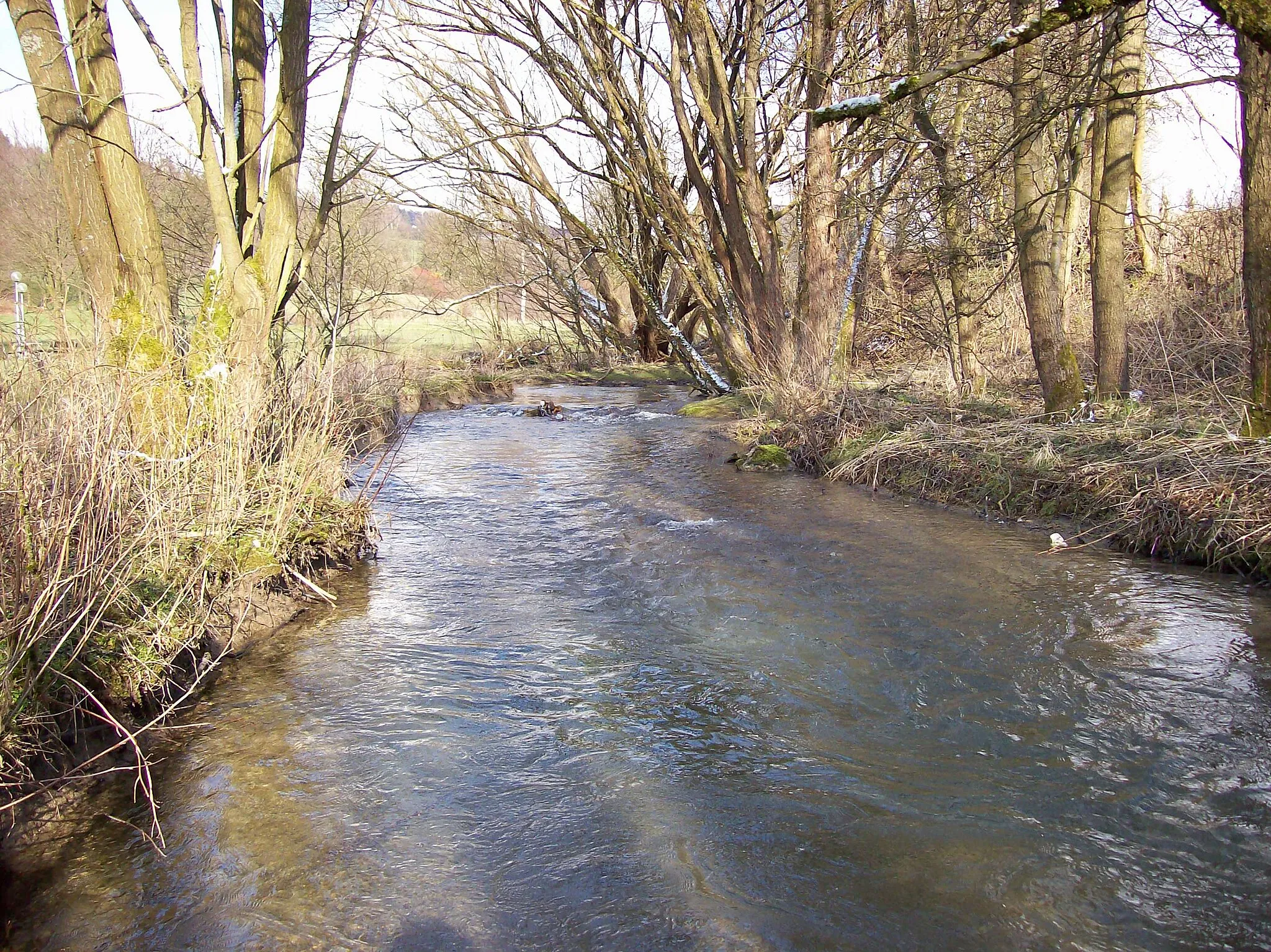 Photo showing: Grafschaft, Nebenfluss der Lenne in Schmallenberg (North Rhine-Westphalia, Germany)