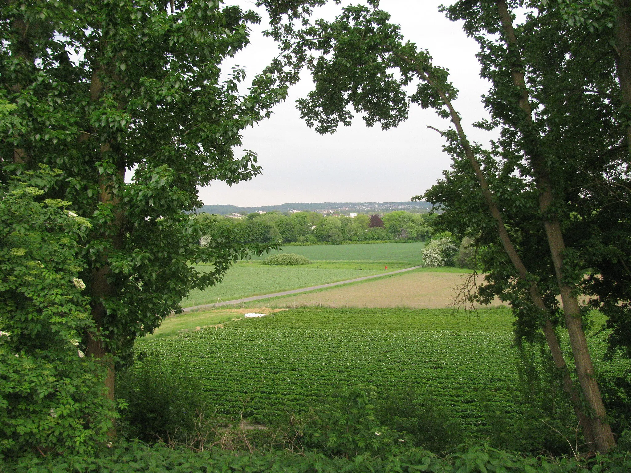 Photo showing: Blick auf das LSG Schürener Feld in Dortmund