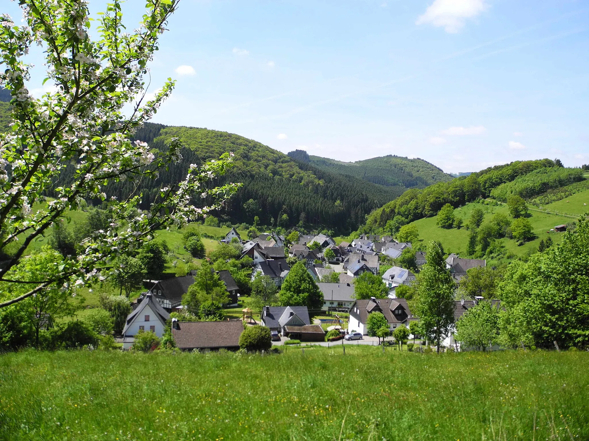 Photo showing: Milchenbach in Germany, summertime