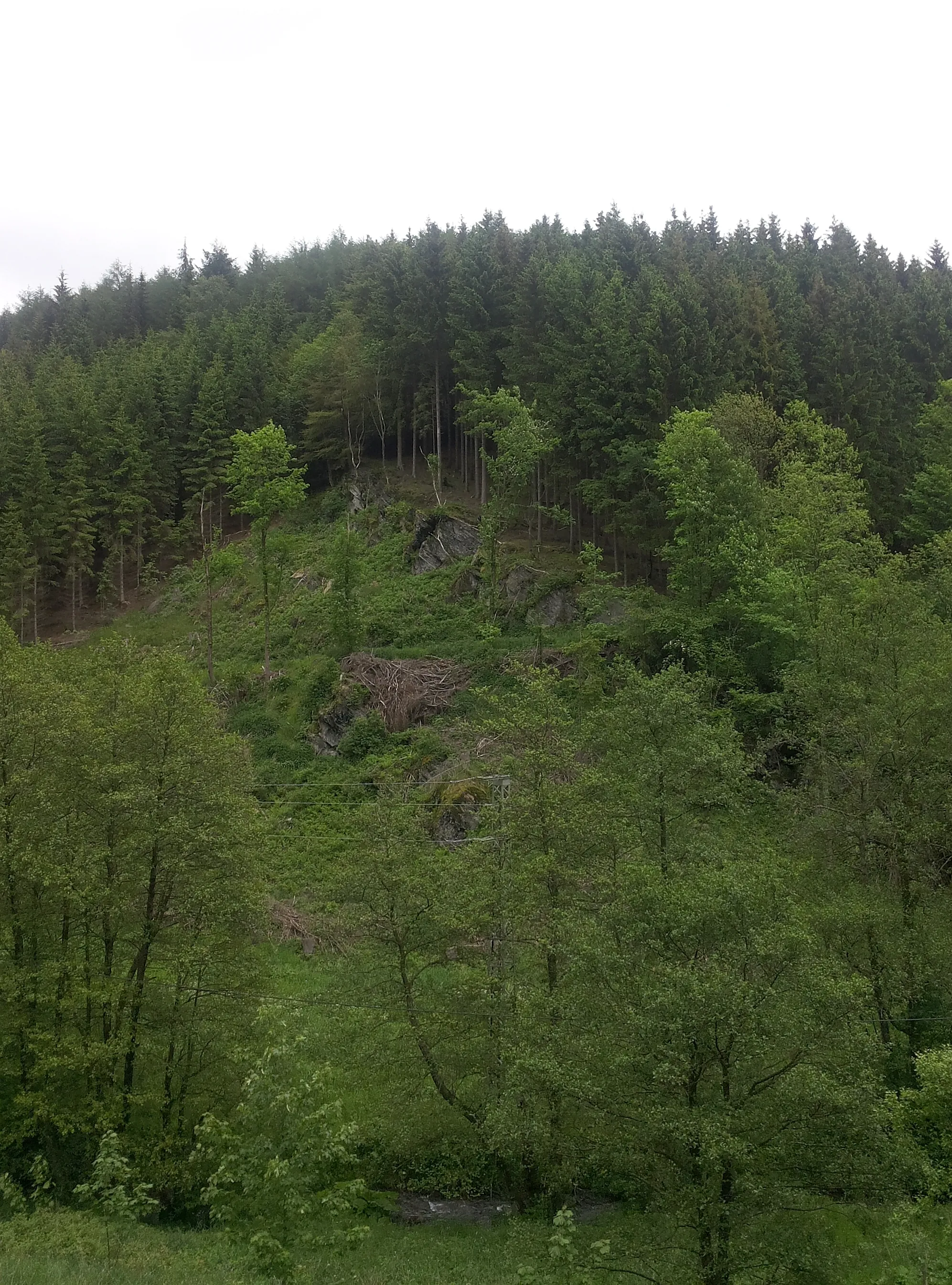 Photo showing: Natural monument rock in Schmallenberg-Nordenau