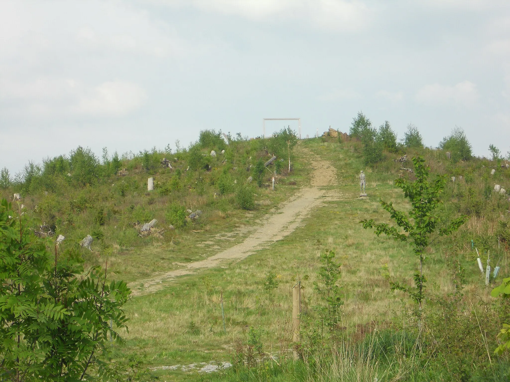 Photo showing: Brilon Petersborn Bürgerwald Weg nach oben