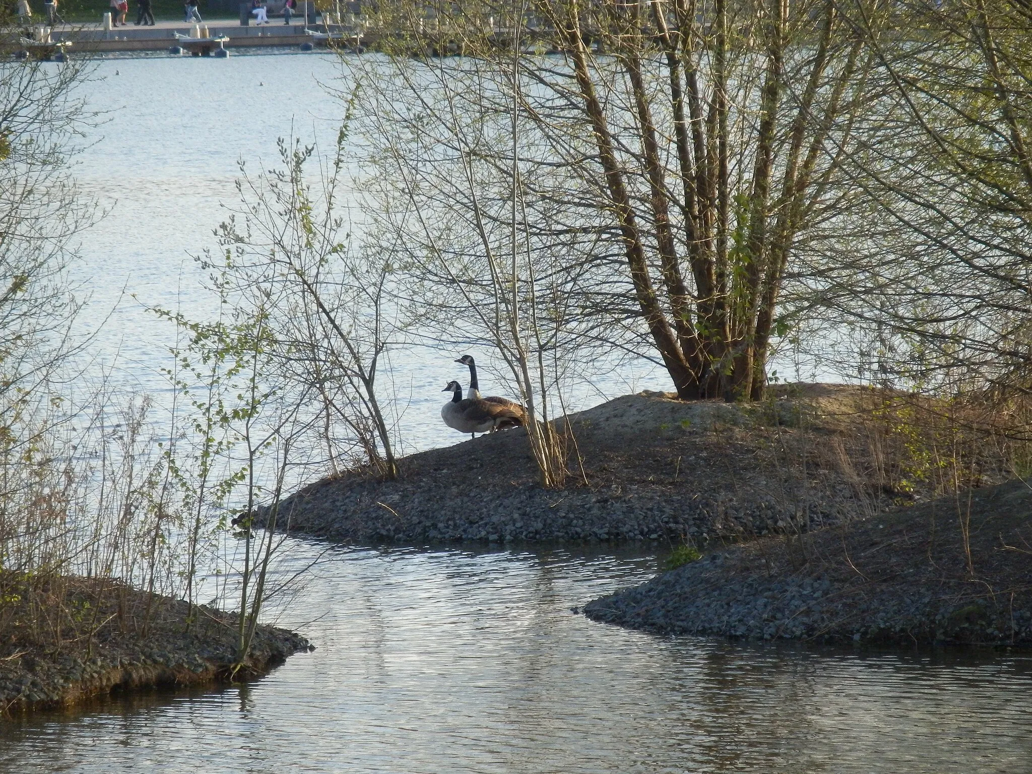 Photo showing: Phoenix-See, Dortmund