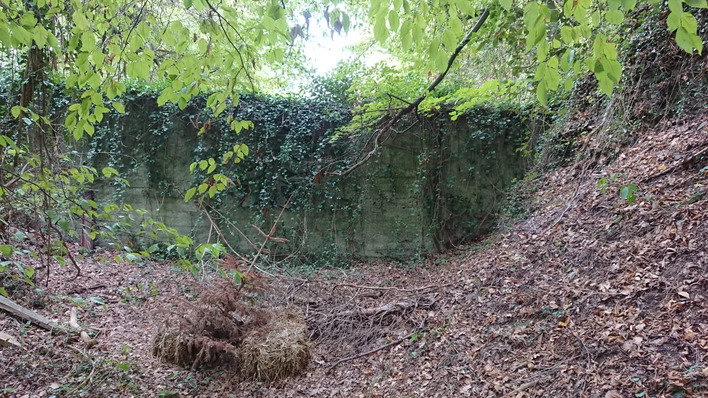 Photo showing: Burg Rodenberg in Menden.