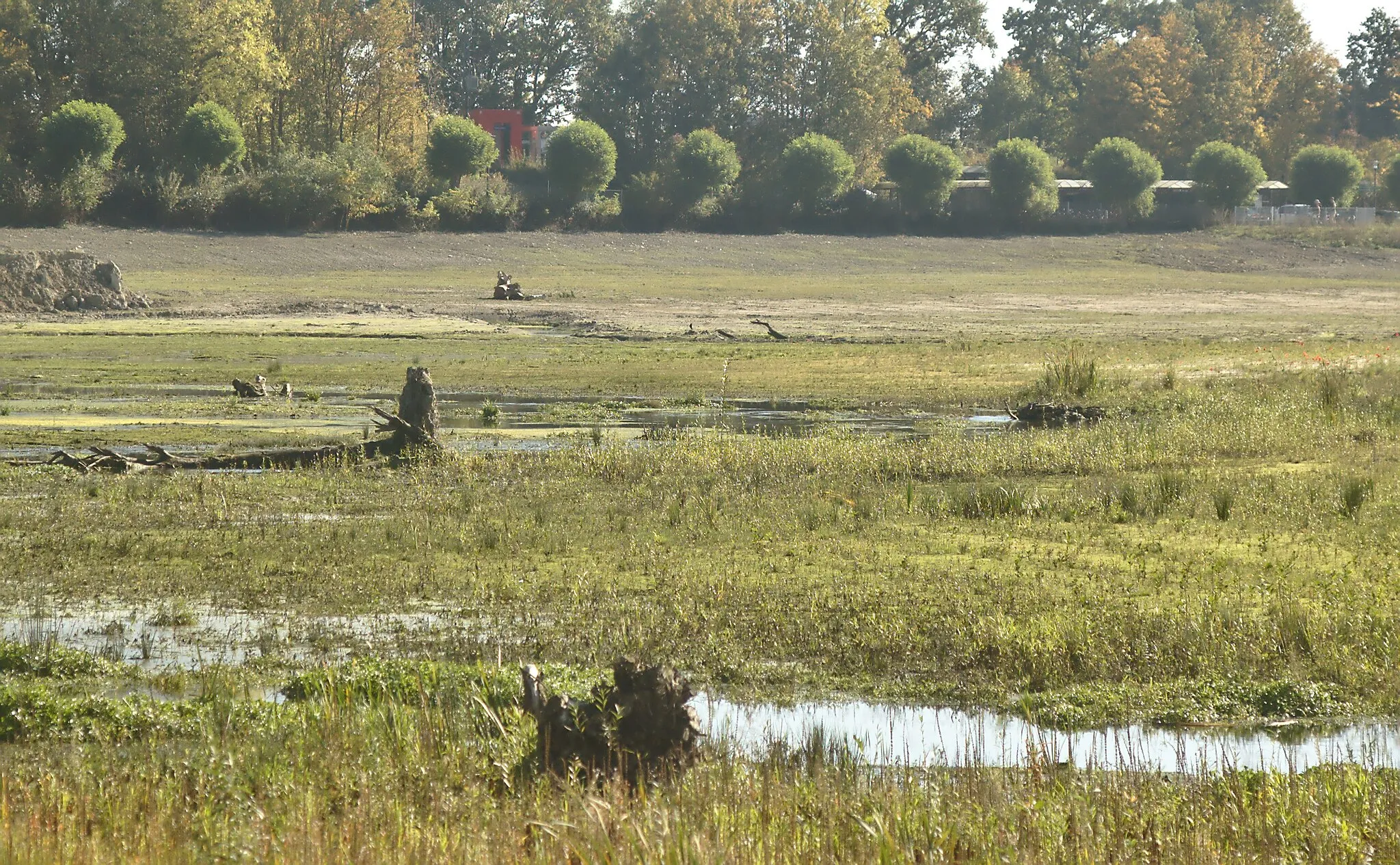 Photo showing: Renaturierter Verlauf des Emmerbachs in der Deipenwiese in Davensberg (Kreis Coesfeld, NRW)