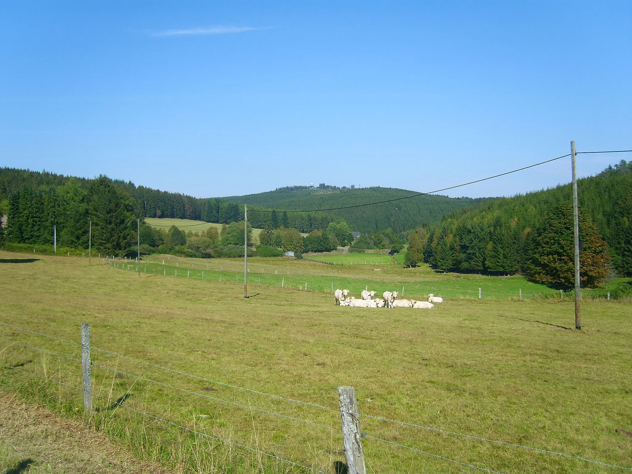 Photo showing: Das Ebschloh (686,5 m) von Ludwigseck aus; im Vordergrund das Tal der Benfe