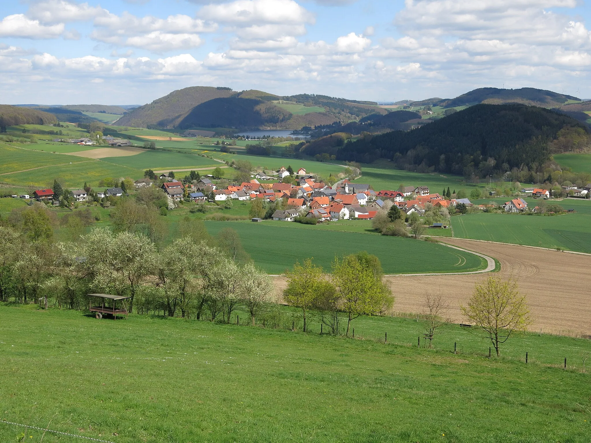 Photo showing: View over Stormbruch toward the Diemelsee