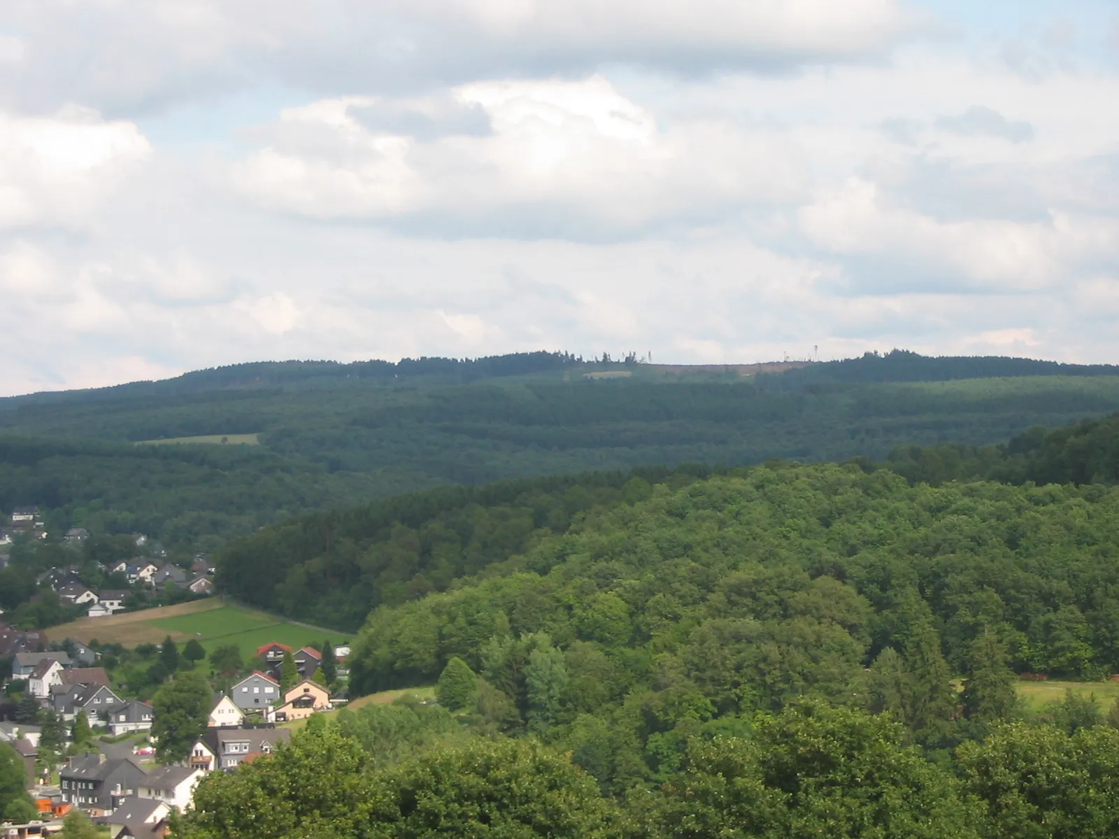 Photo showing: Kalteiche seen from the "Dell" in Wilden