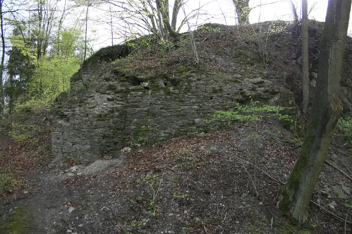 Photo showing: Ruine Burg Borghausen(Attendorn)