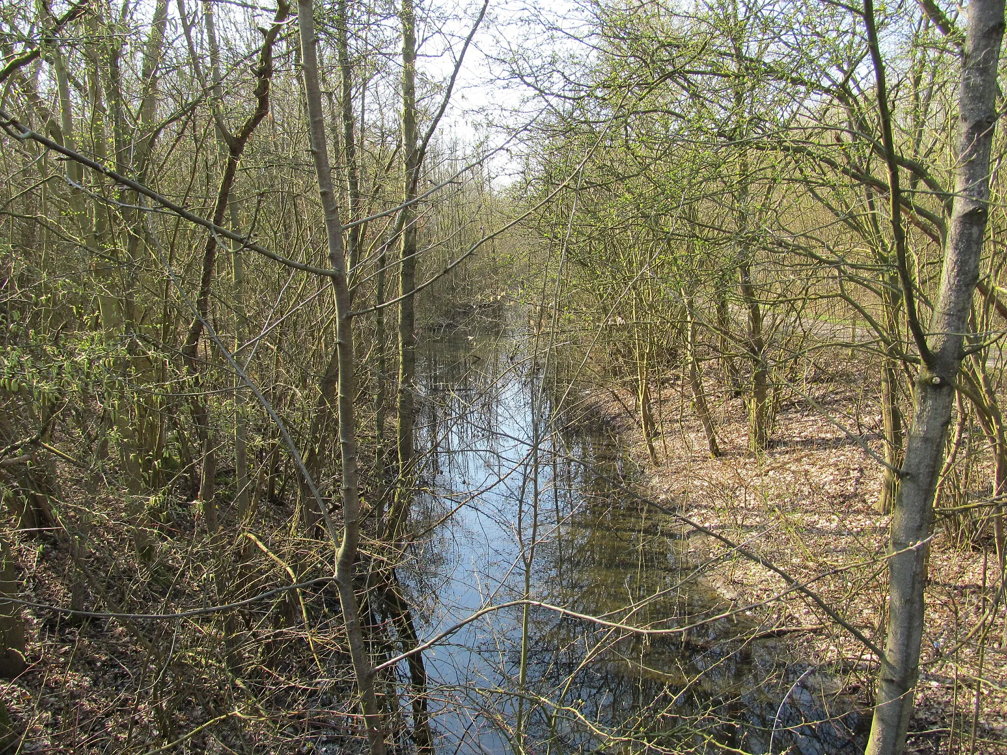 Photo showing: der Pelkumer Bach am Nordrand der Halde Sundernrücken in Hamm-Herringen