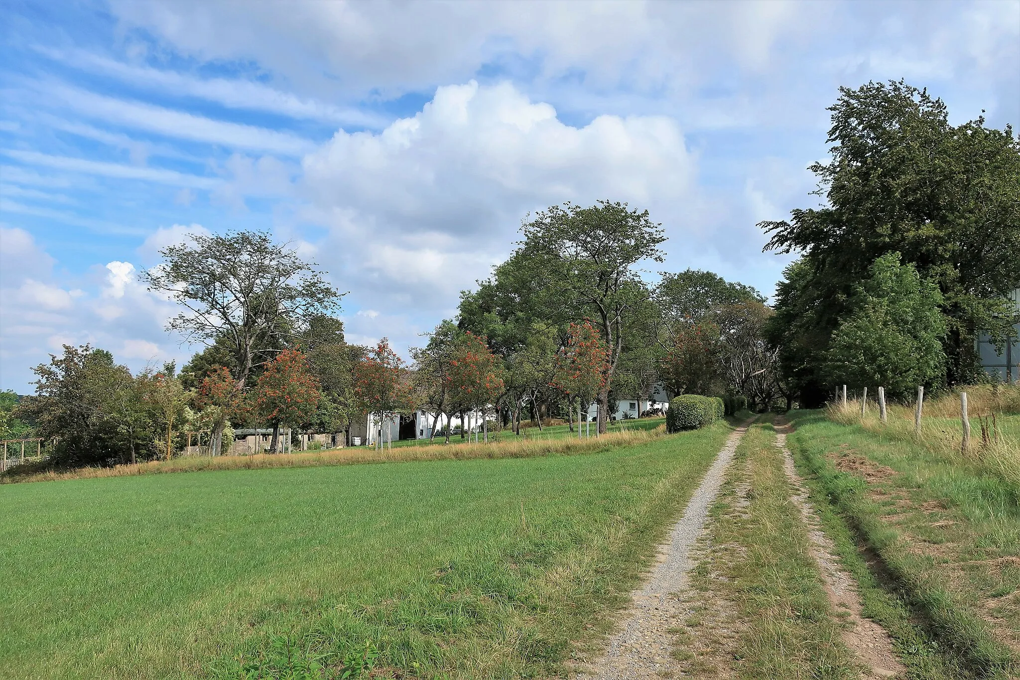 Photo showing: Blick von Westen auf den Hof Wahl in Hagen. Gelegen im Landschaftsschutzgebiet „Kettelberg und Hof Wahl“.