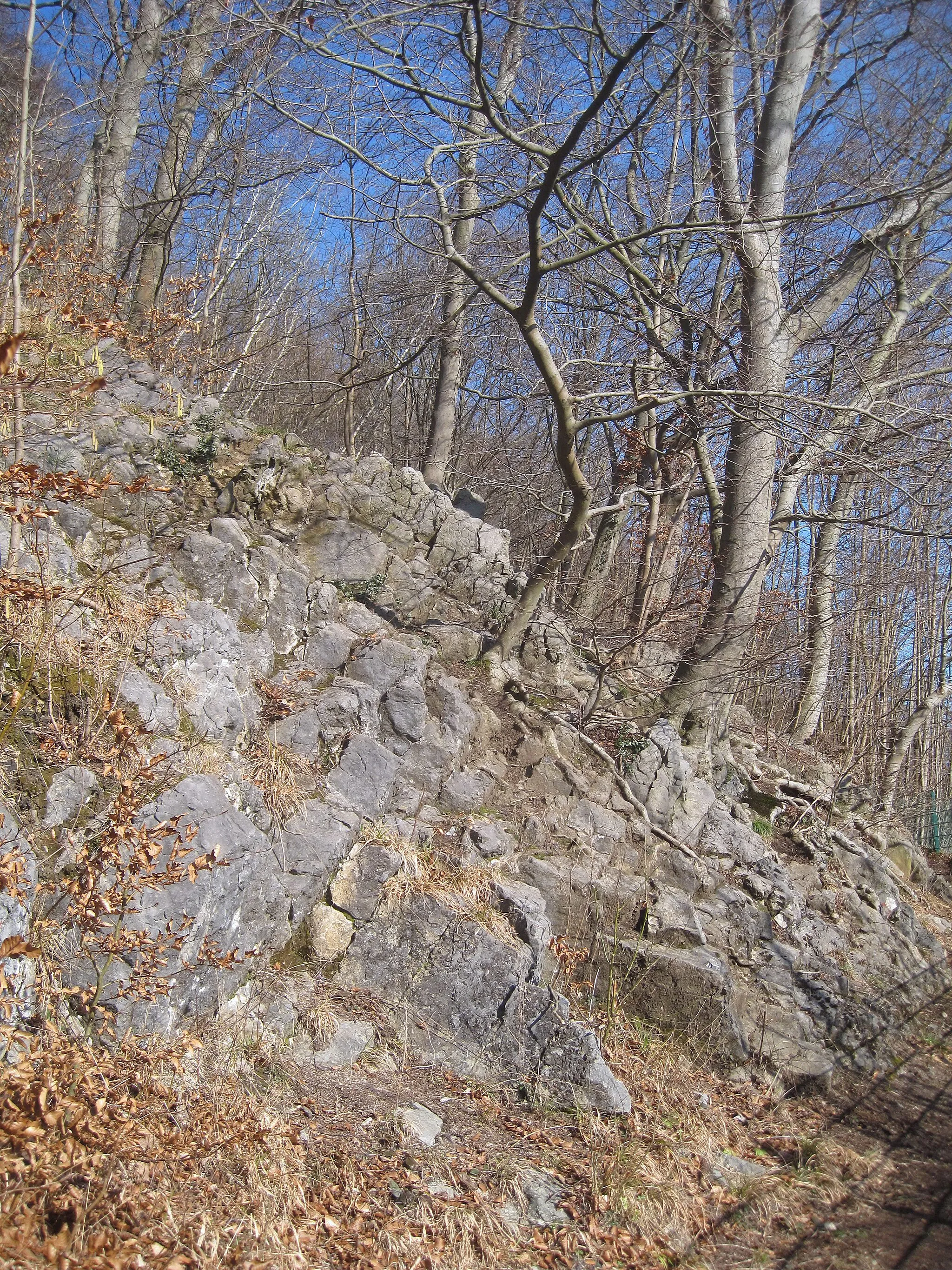 Photo showing: de:Naturschutzgebiet Sonderhorst in Iserlohn.