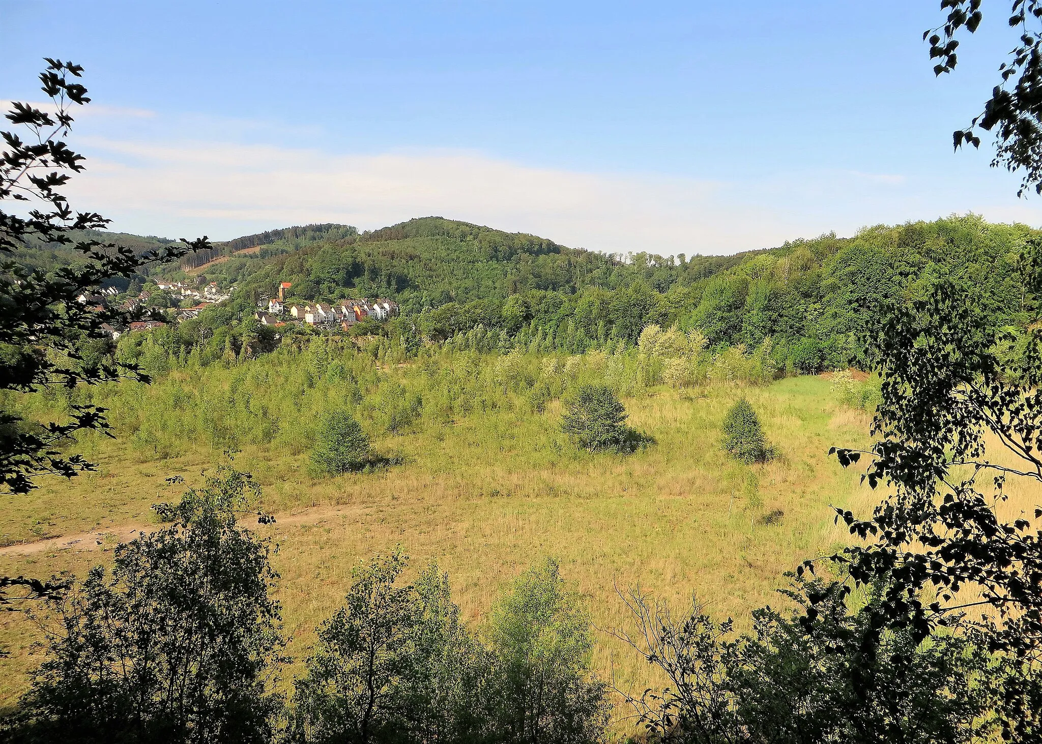 Photo showing: Naturschutzgebiet Steltenberg (HA-019) in Hagen-Hohenlimburg. Im Vordergrund der stillgelegte ehemalige Steinbruch Rolloch I der Hohenlimburger Kalkwerke. Nach der Renaturierung gedeihen hier inzwischen ganz besondere Pflanzen und leben Tag- und Nachtfalter sowie Ringelnattern. Es gibt wilde Orchideen, wie Knabenkräuter, Winterschachtelhalm oder das rundblättrige Wintergrün. Im Hintergrund sieht man oberhalb der Boeingstraße im Landschaftsschutzgebiet Egge den Piepenbrink (301 m) mit Resten der mittelalterlichen Franzosenschanze.