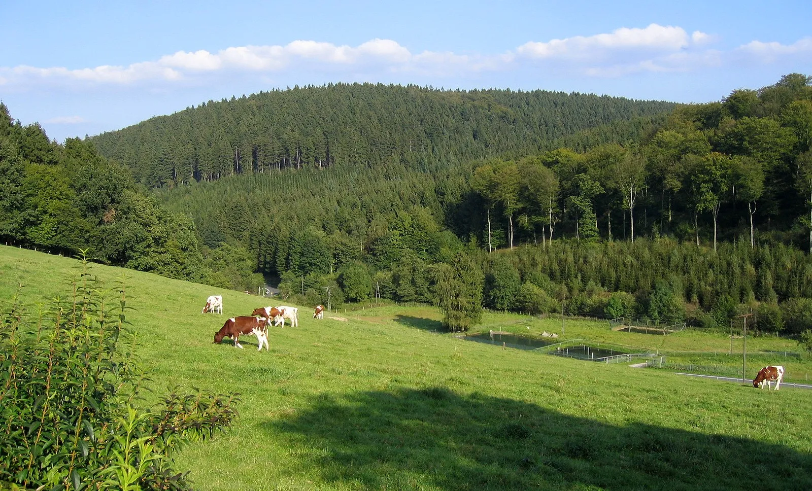 Photo showing: Naturpark Homert, Ortsteil Heppingsen in Hemer.