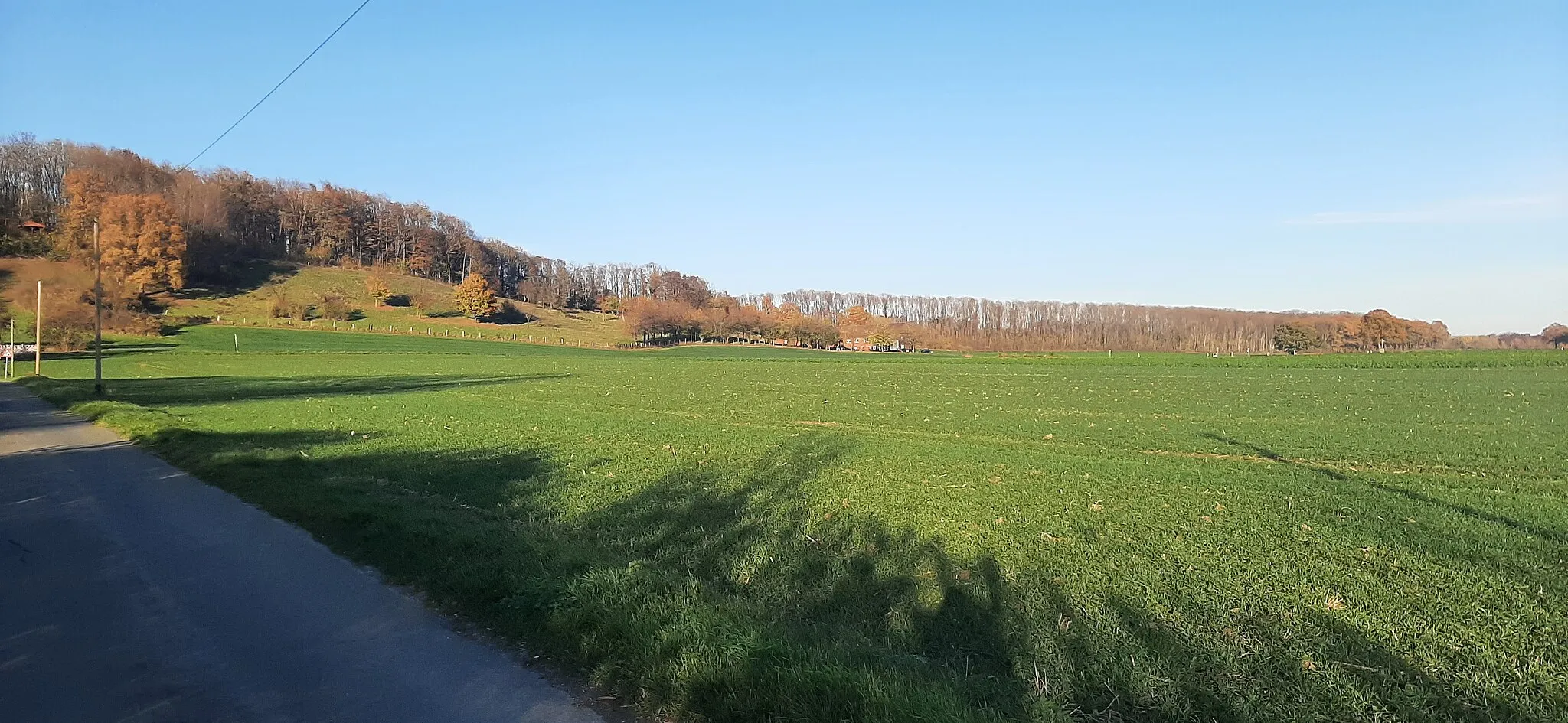 Photo showing: Beckumer Berge, Blick aus Süden auf Höxbergstufe