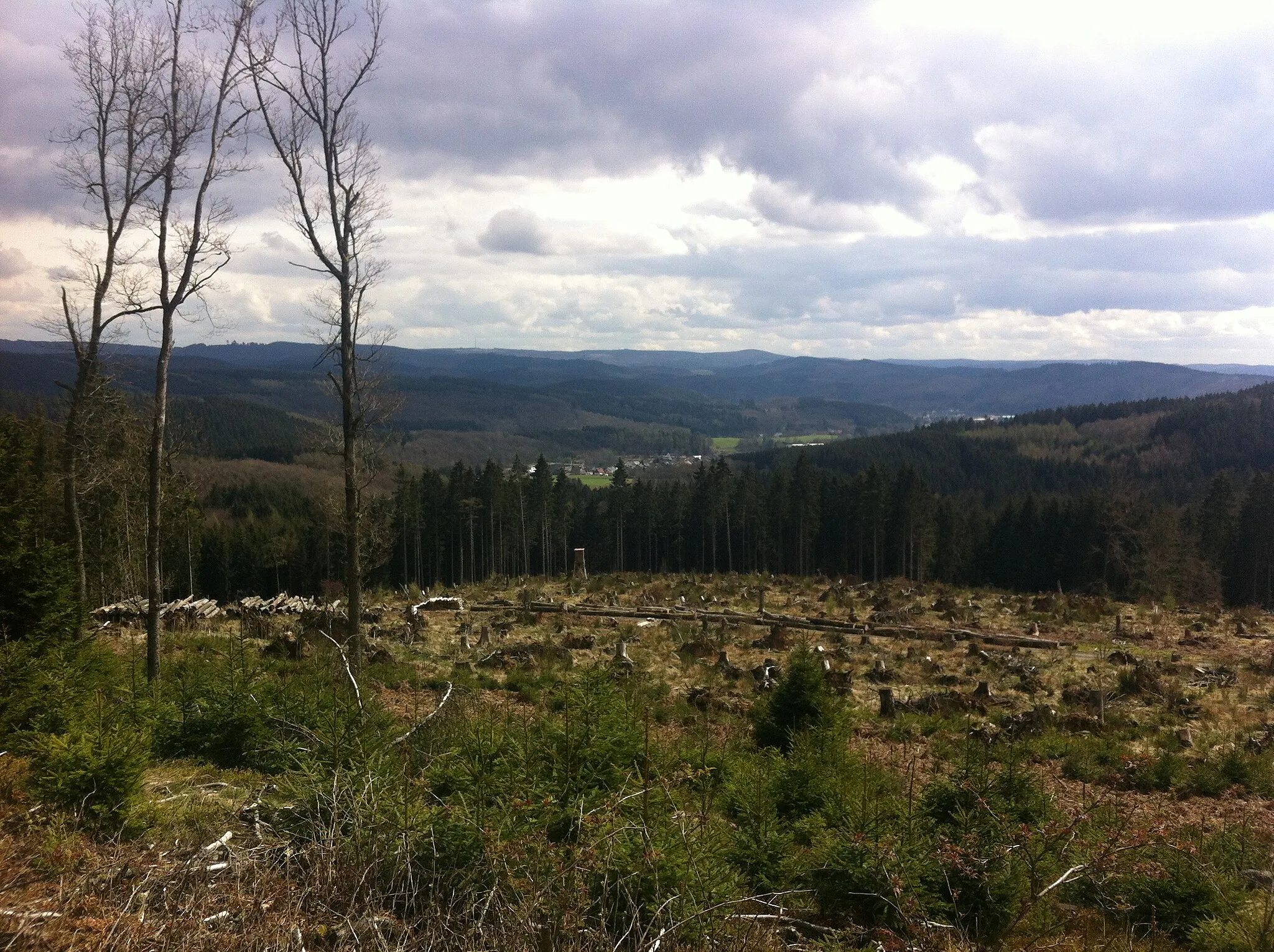 Photo showing: mit Breitenberg und Rothenbachtal (links), Ausläufer der Martinshardt (rechts)