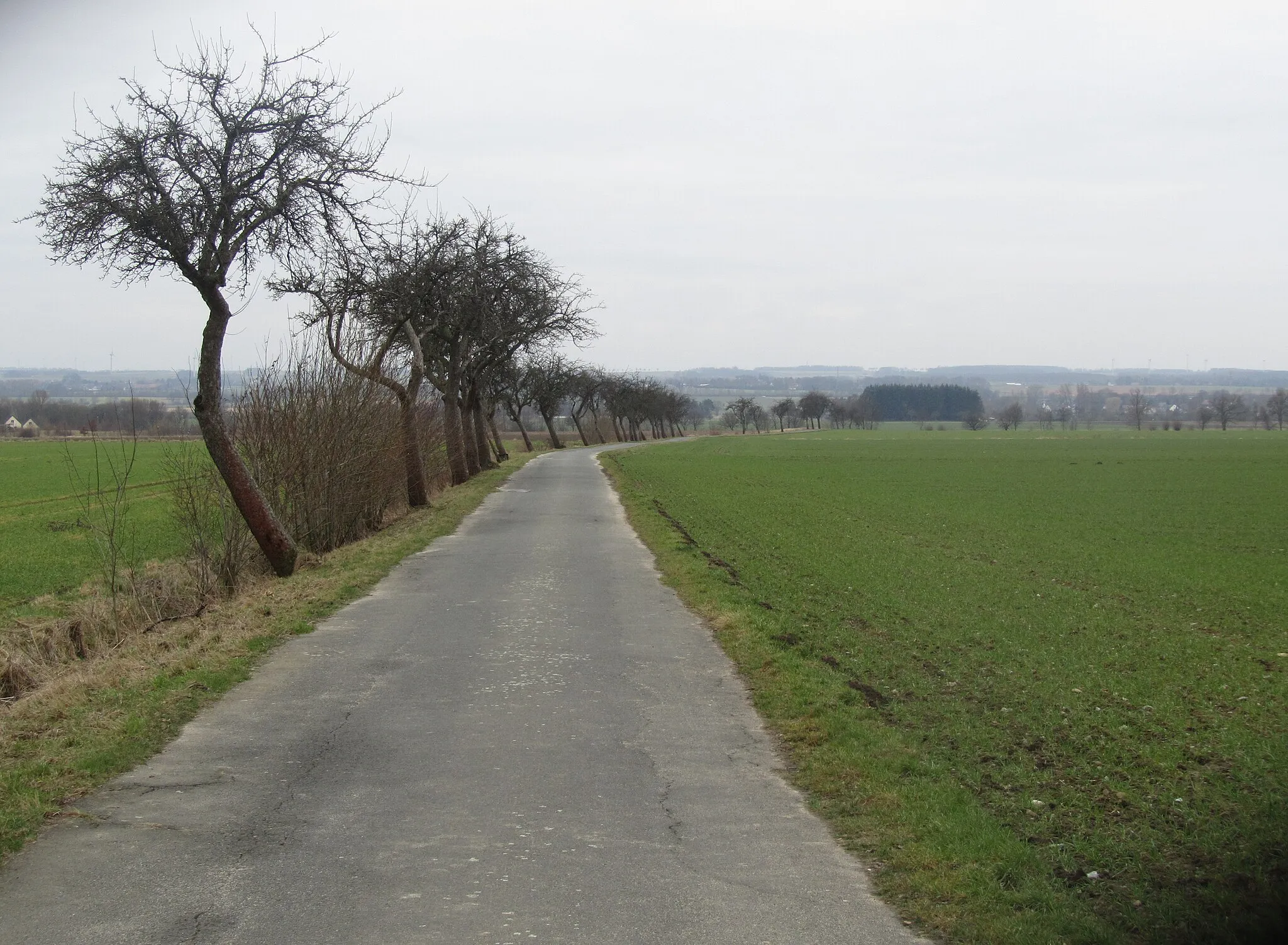 Photo showing: Landscape of Soester Börde, between town of Soest (Germany) and village of Paradiese