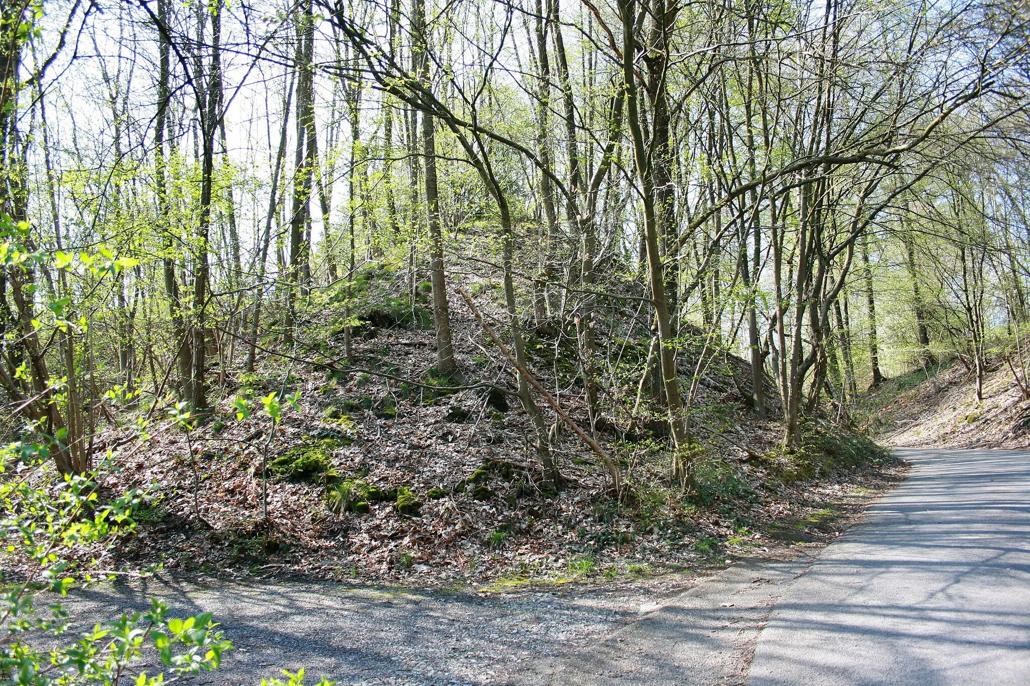 Photo showing: Wall der Alteburg, Pastoratsweg in Essen