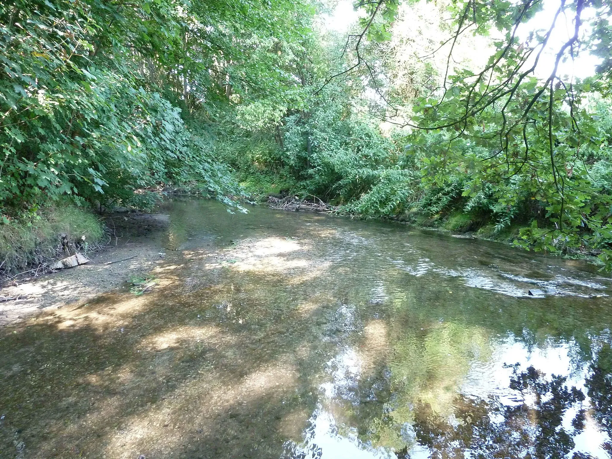 Photo showing: The Lake Gieseler in Bad Westernkotten