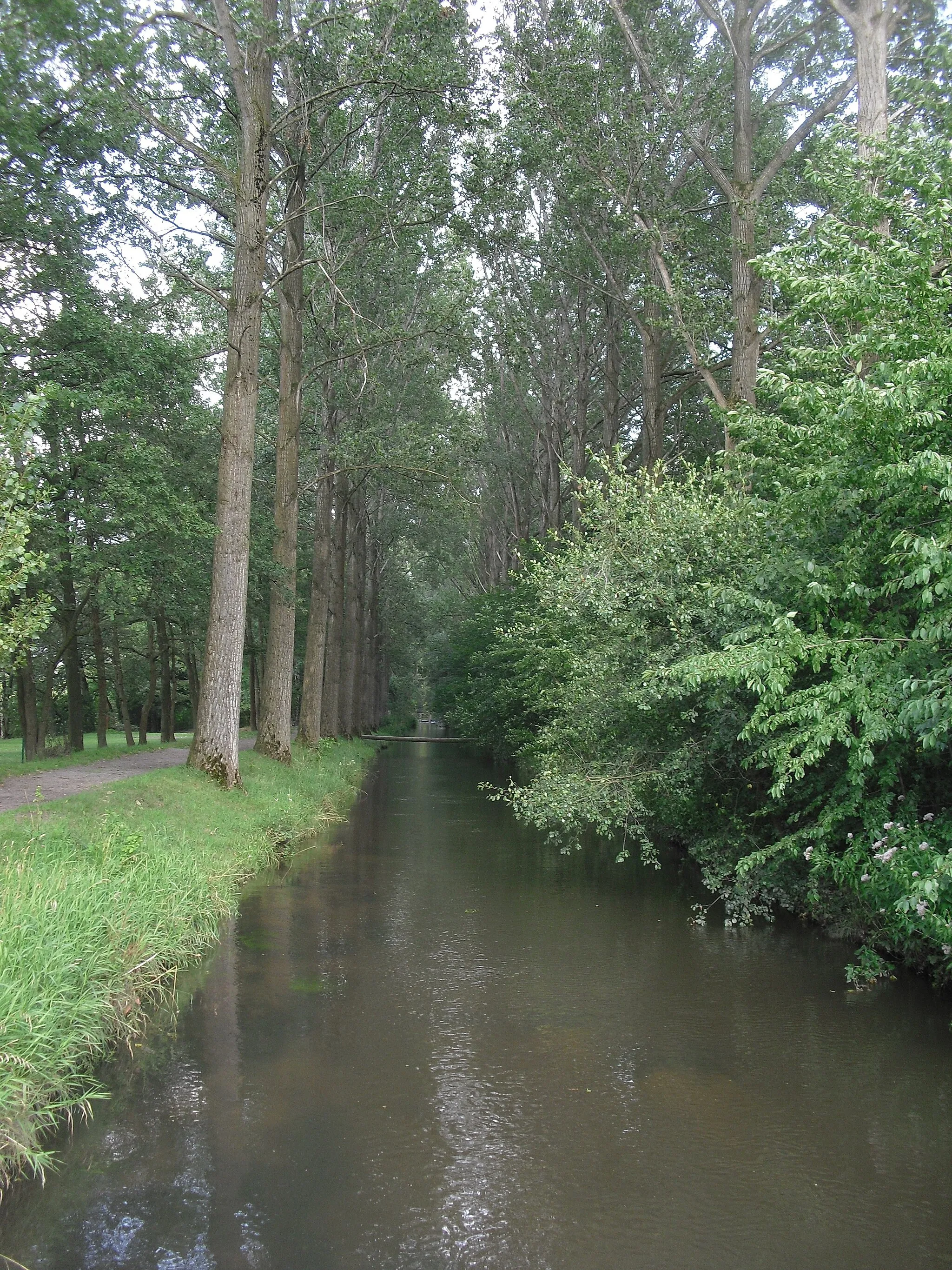 Photo showing: Boker-Heide-Kanal in Delbrück