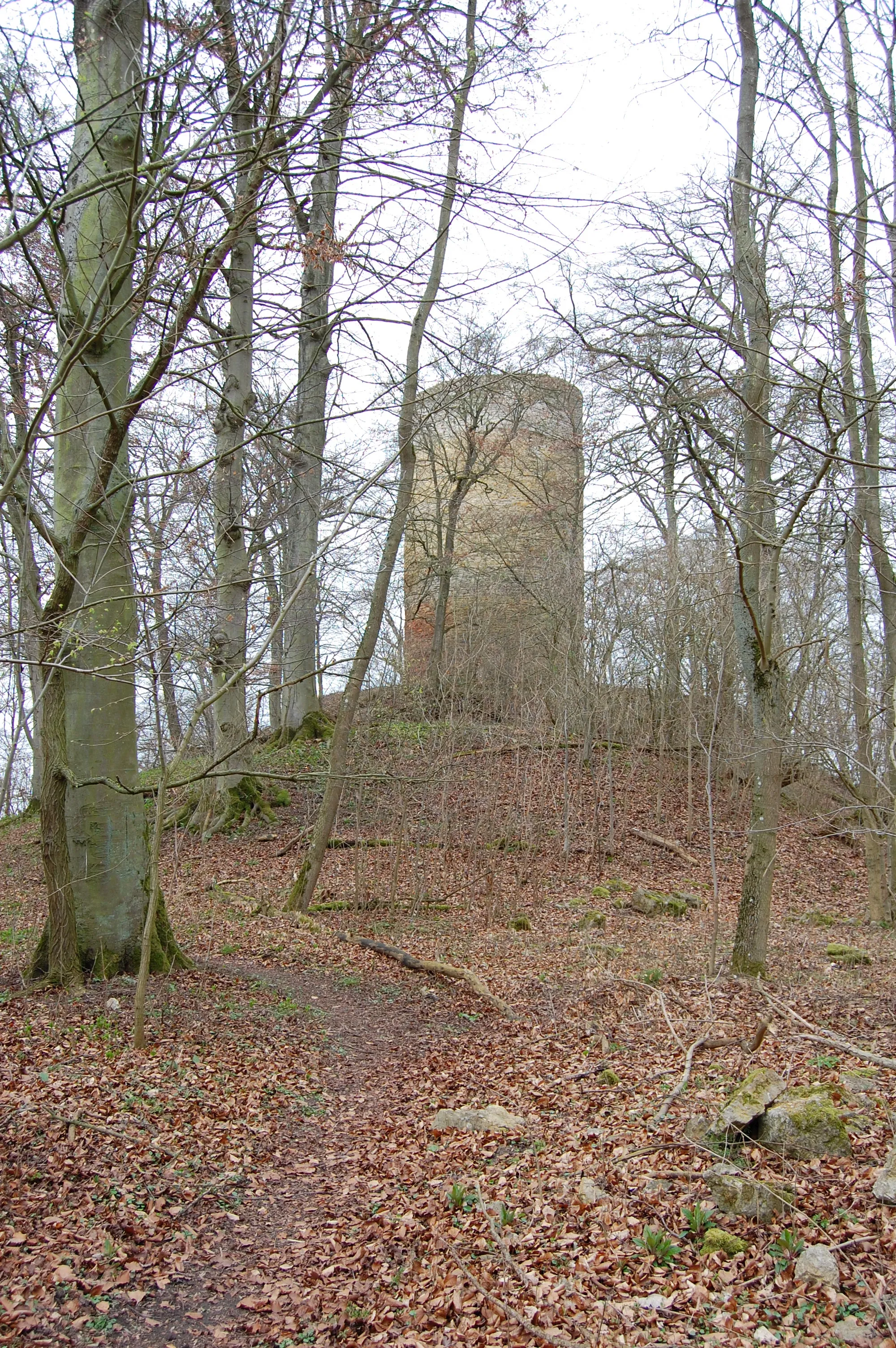 Photo showing: Main Tower (Bergfried) of Schartenburg
