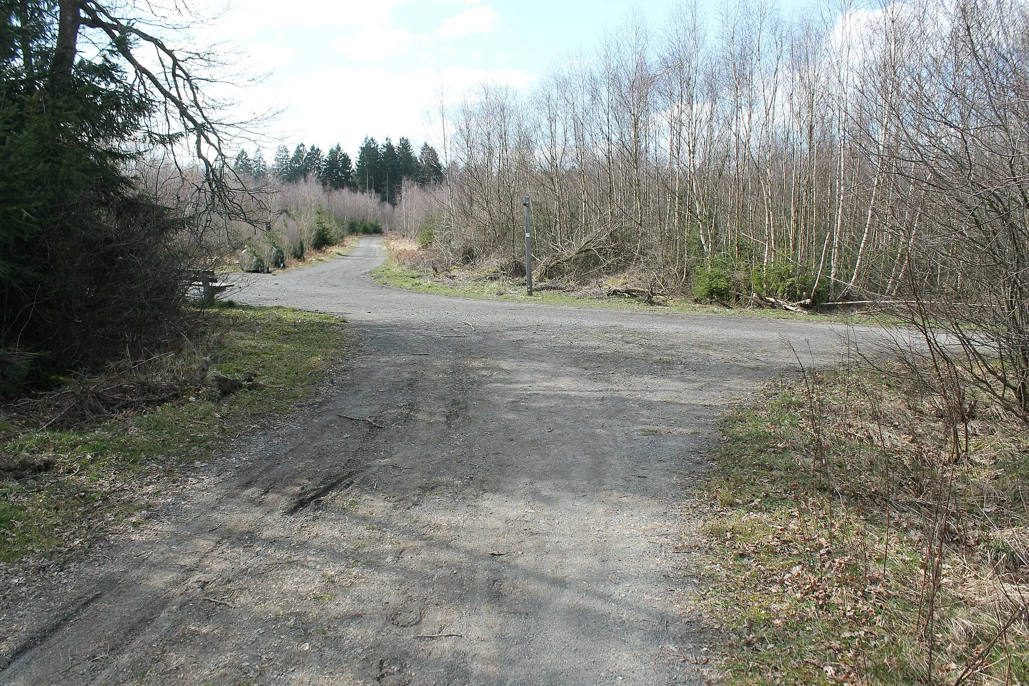 Photo showing: Kreutung der historischen Fernwege Landwehrweg am Kölschen Heck, gleichzeitig Hileweg und Römerweg (nach 1800) sowie Heerweg aus dem Siegrland