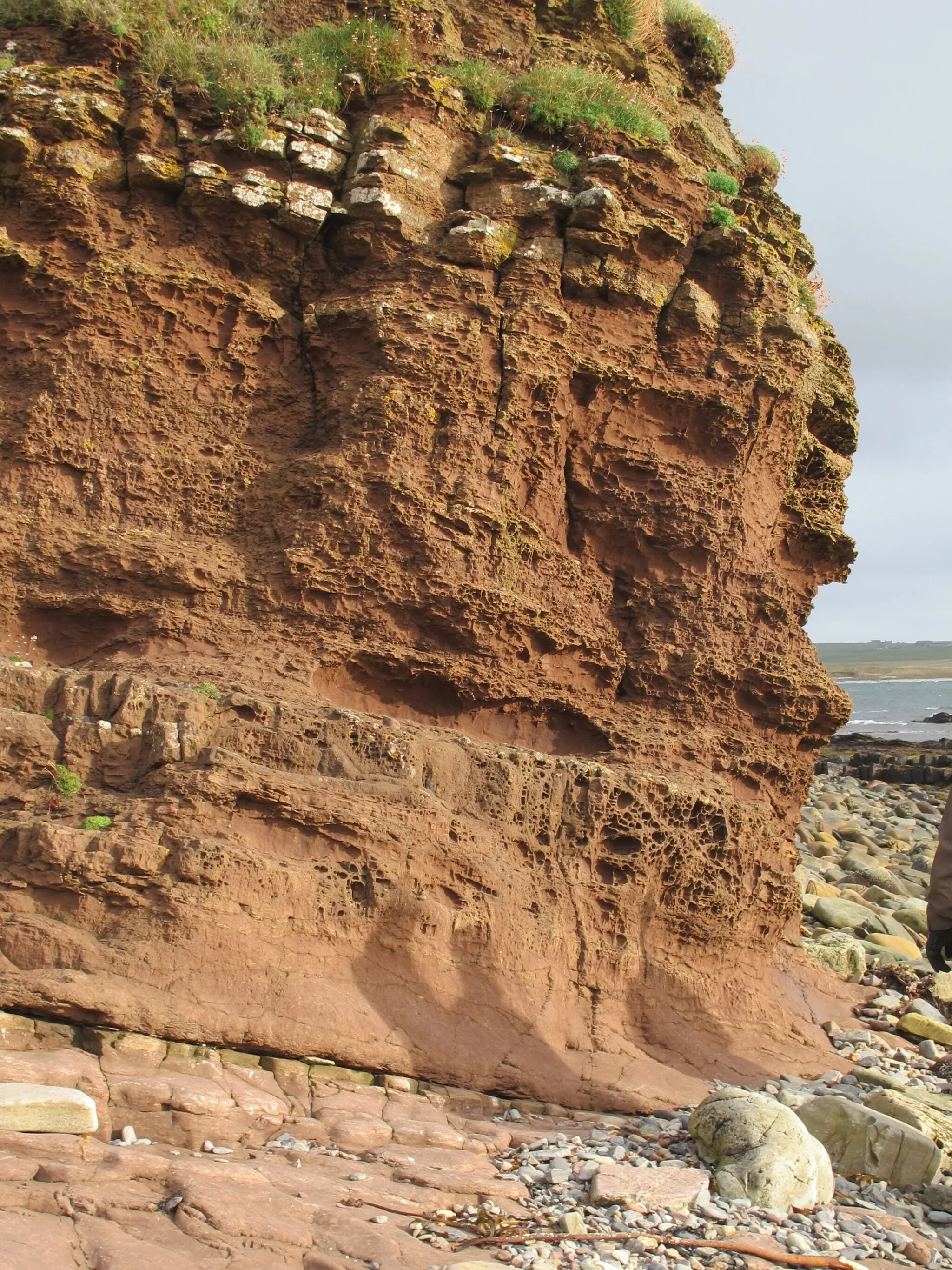 Photo showing: Marl within the Eday Flagstones at Deerness, Mainland, Orkney