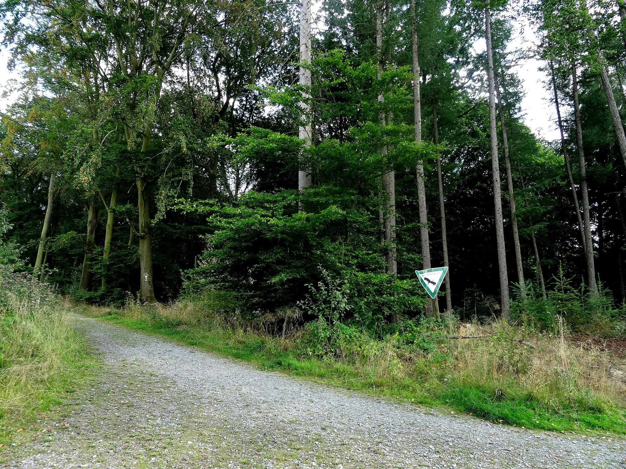 Photo showing: Naturpark Arnsbergerwald nähe Möhneturm, NSG-Schild