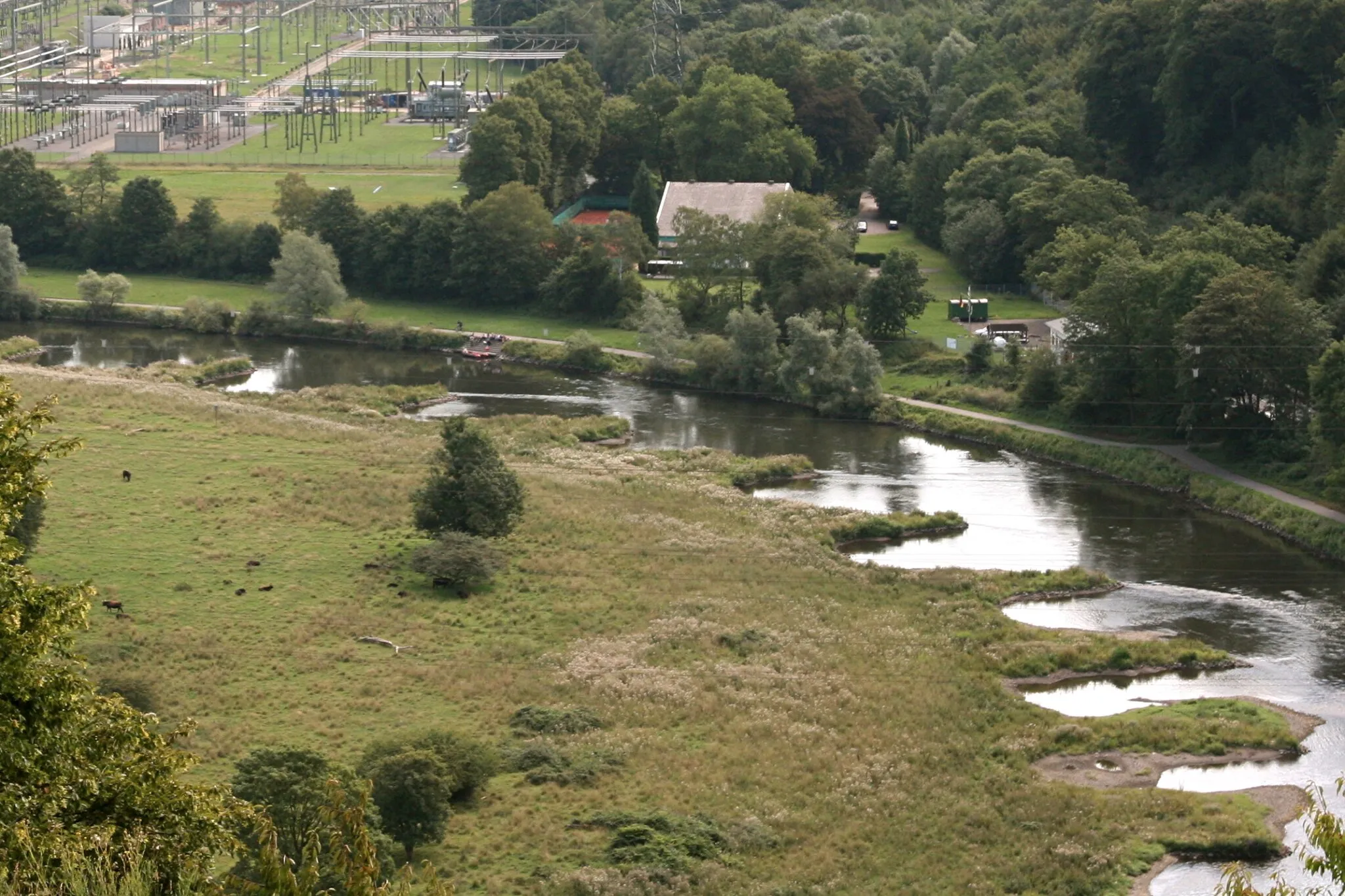 Photo showing: Naturschutzgebiet Ruhraue Hattingen Winz, Ruhrufer mit alten Buhnen, weidende Heckrinder; Blick vom Isenberg in Hattingen, oben links Umspannwerk Hattingen