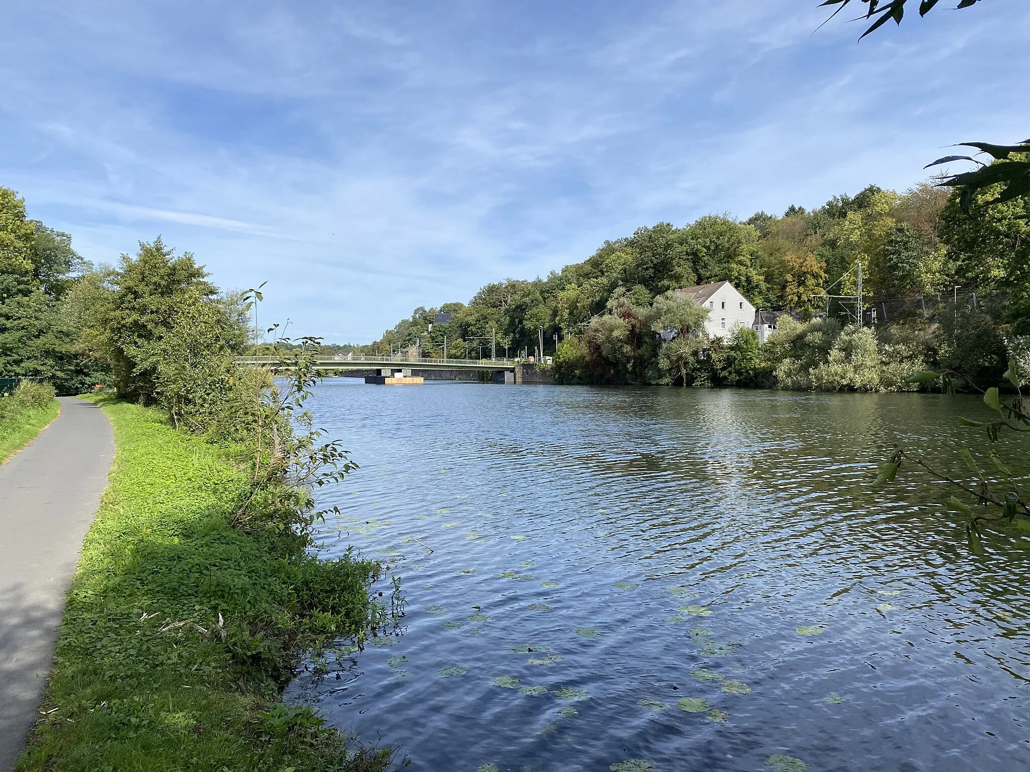 Photo showing: Das Naturschutzgebiet am rechten Ufer der Ruhr endet 340 m vor der Schwimmbrücke Dahlhausen (Bochum)