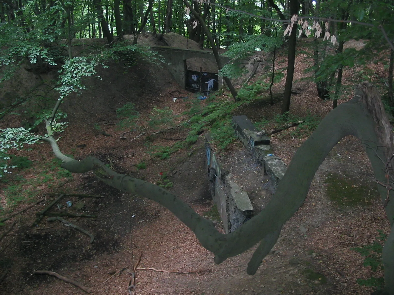 Photo showing: bunker in forest Steinberg in Witten