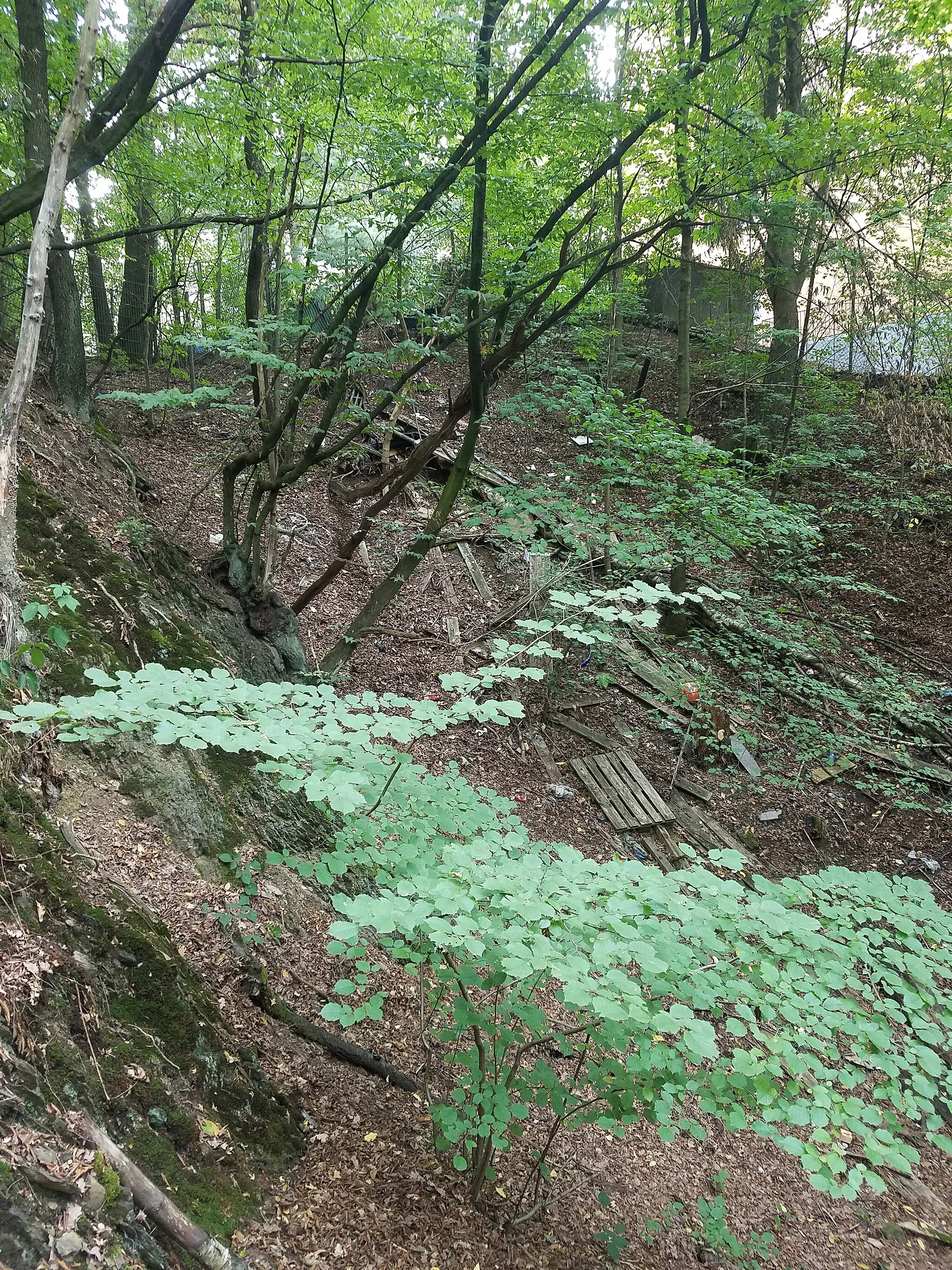 Photo showing: Position des Oberen Stollens der Grube Nordstern bei Siegen-Weidenau im Siegerland/NRW