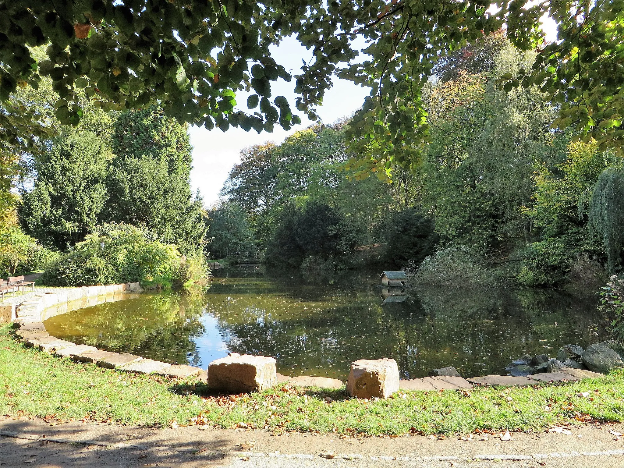 Photo showing: Teich im Hagener Stadtgarten.