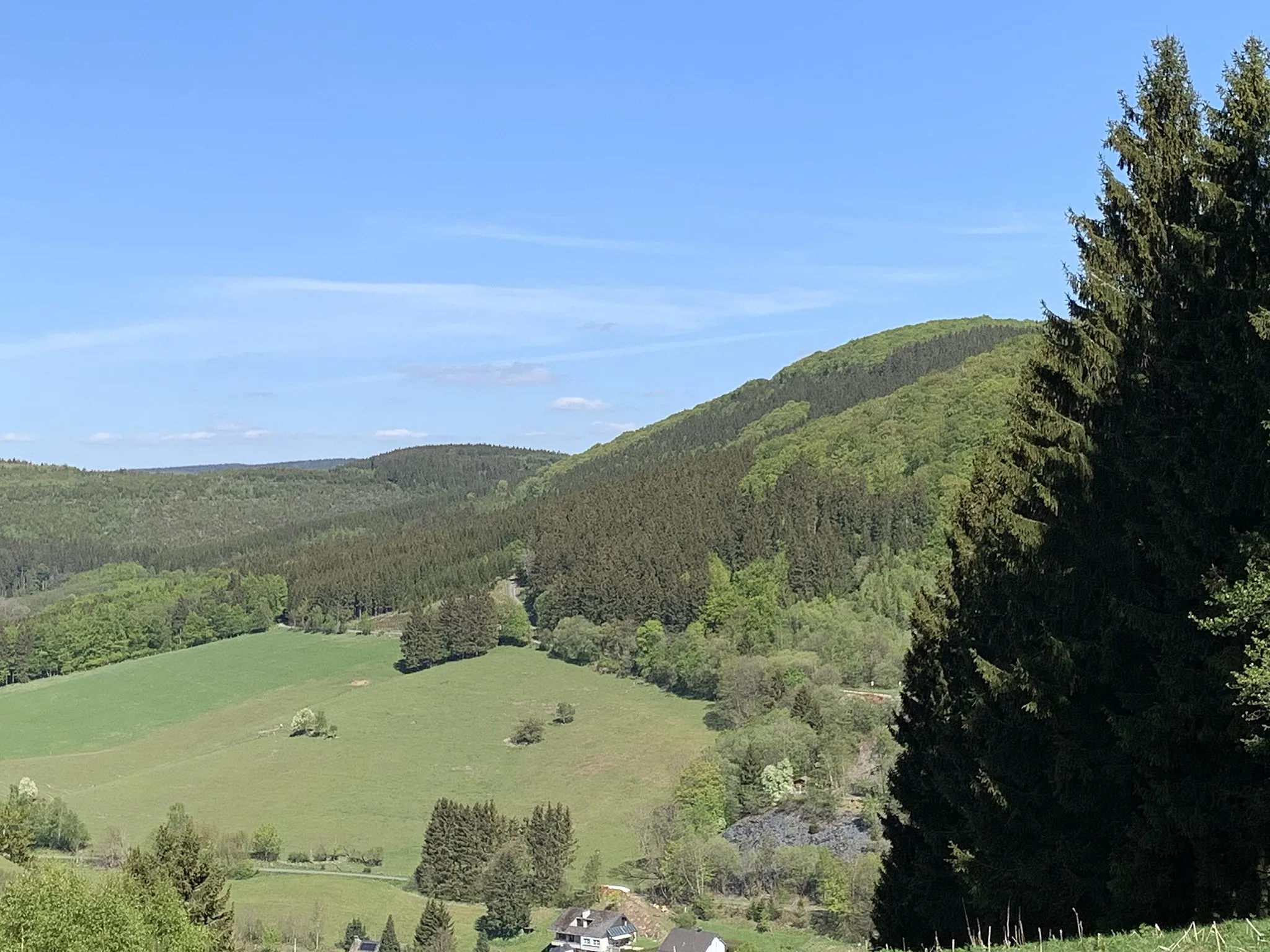 Photo showing: Almost 800 Meters high, this Mountain called Nordhelle is close to Silbach