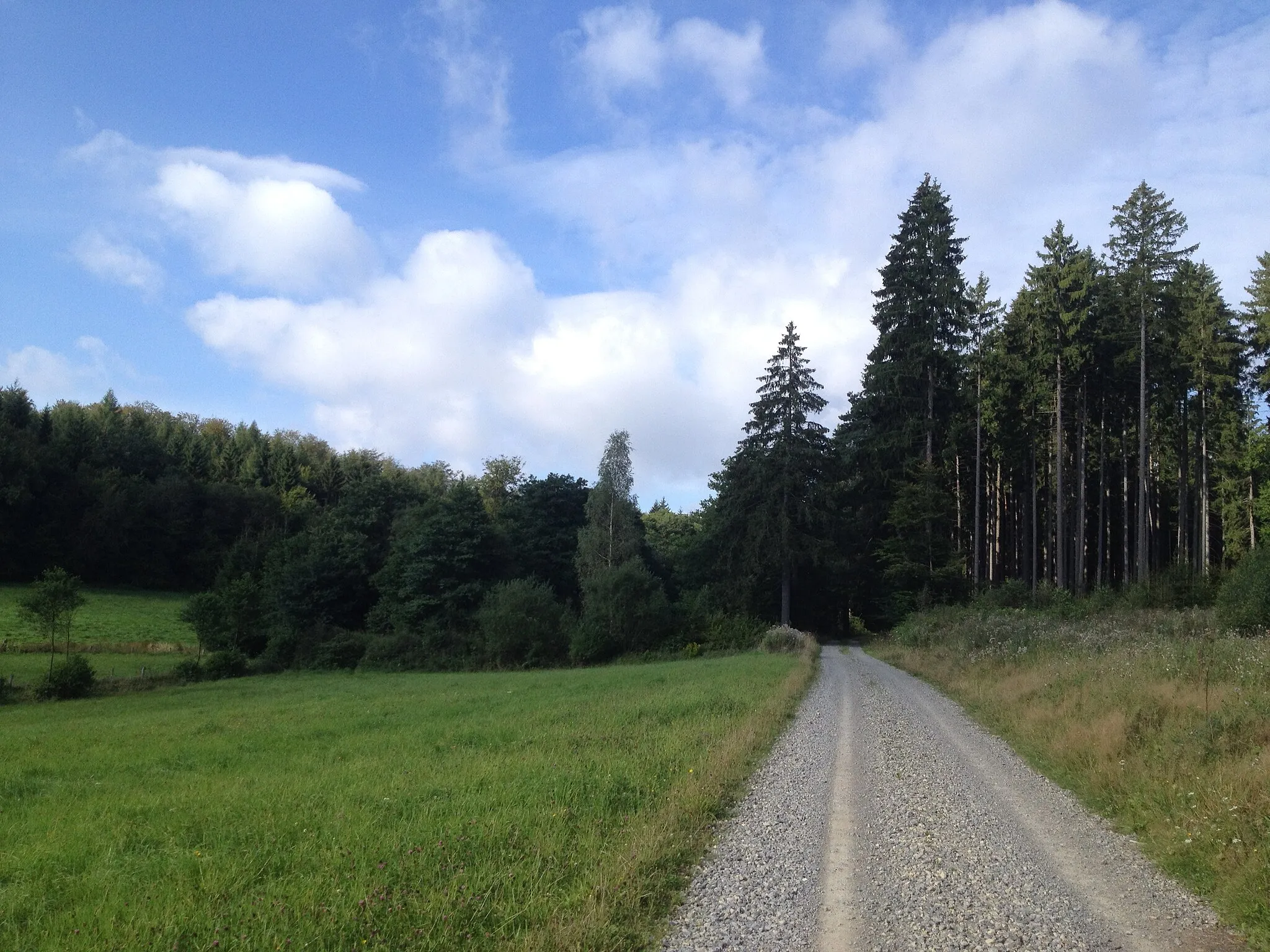 Photo showing: Das Lange Rod westlich von Ippinghausen; An manchen Stellen schlecht befahrbarer Schotterweg des Kassel-Edersee-Radweg