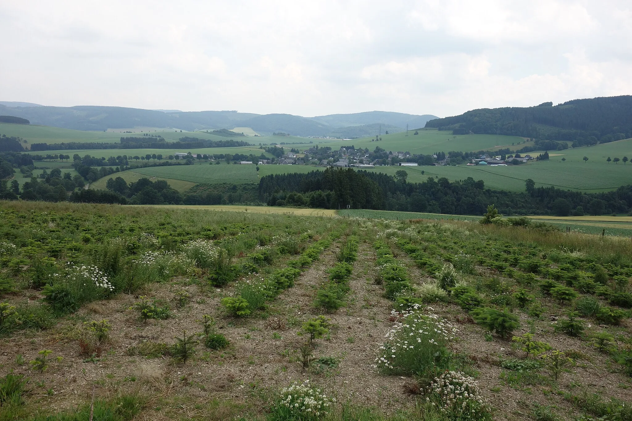 Photo showing: Landschaftsschutzgebiet Bödefelder Mulde im Stadtgebiet Winterberg, Wald im Hintergrund gehört zum Landschaftsschutzgebiet Winterberg. Blick von Nordwesten auf Altenfeld.