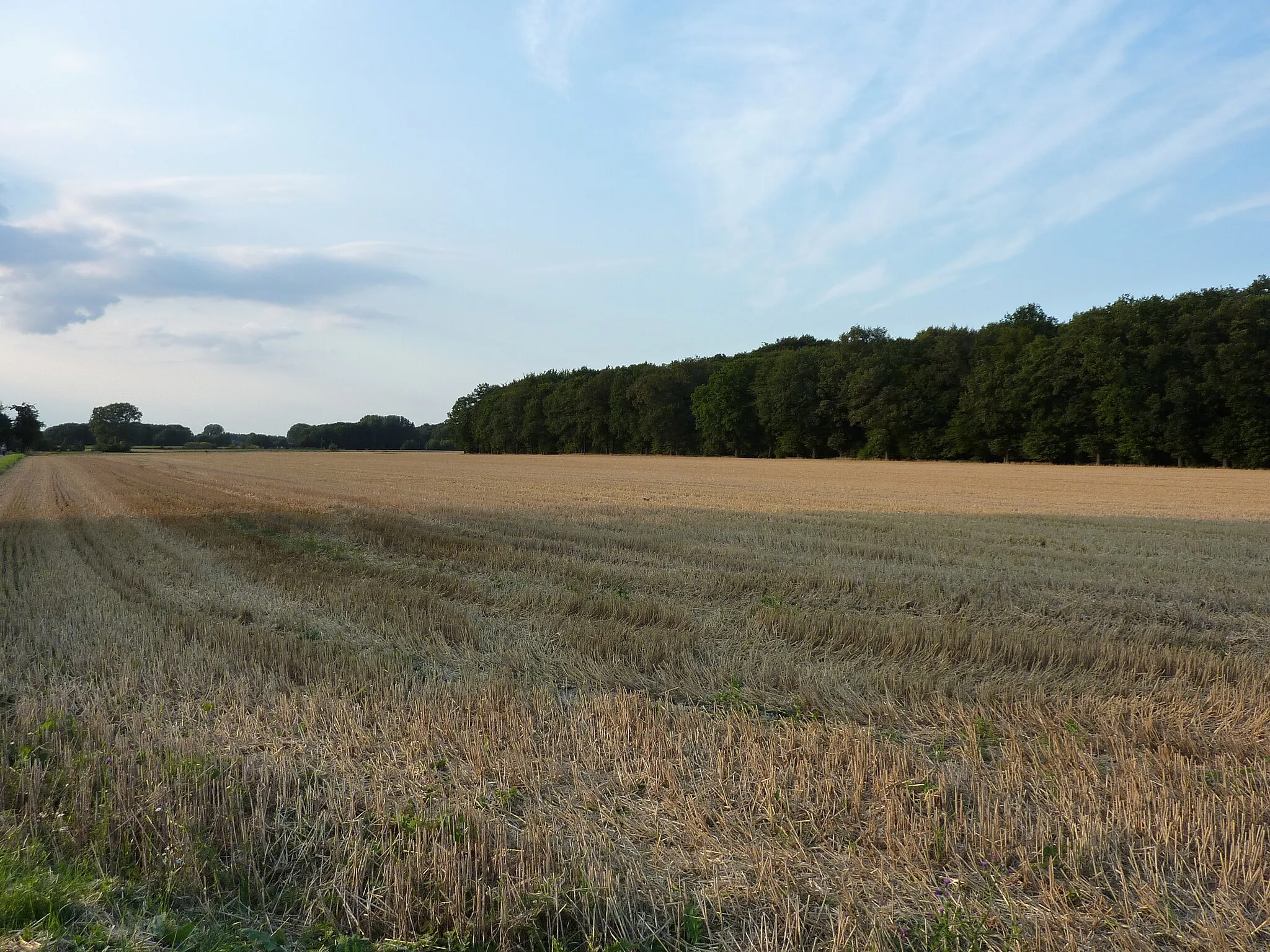 Photo showing: Blick von der Stadtgrenze Kamen/Dortmund bei Wickede nach Norden, Feld und Wald im Landschaftsschutzgebiet „Körnebachtal“ in Kamen-Wasserkurl