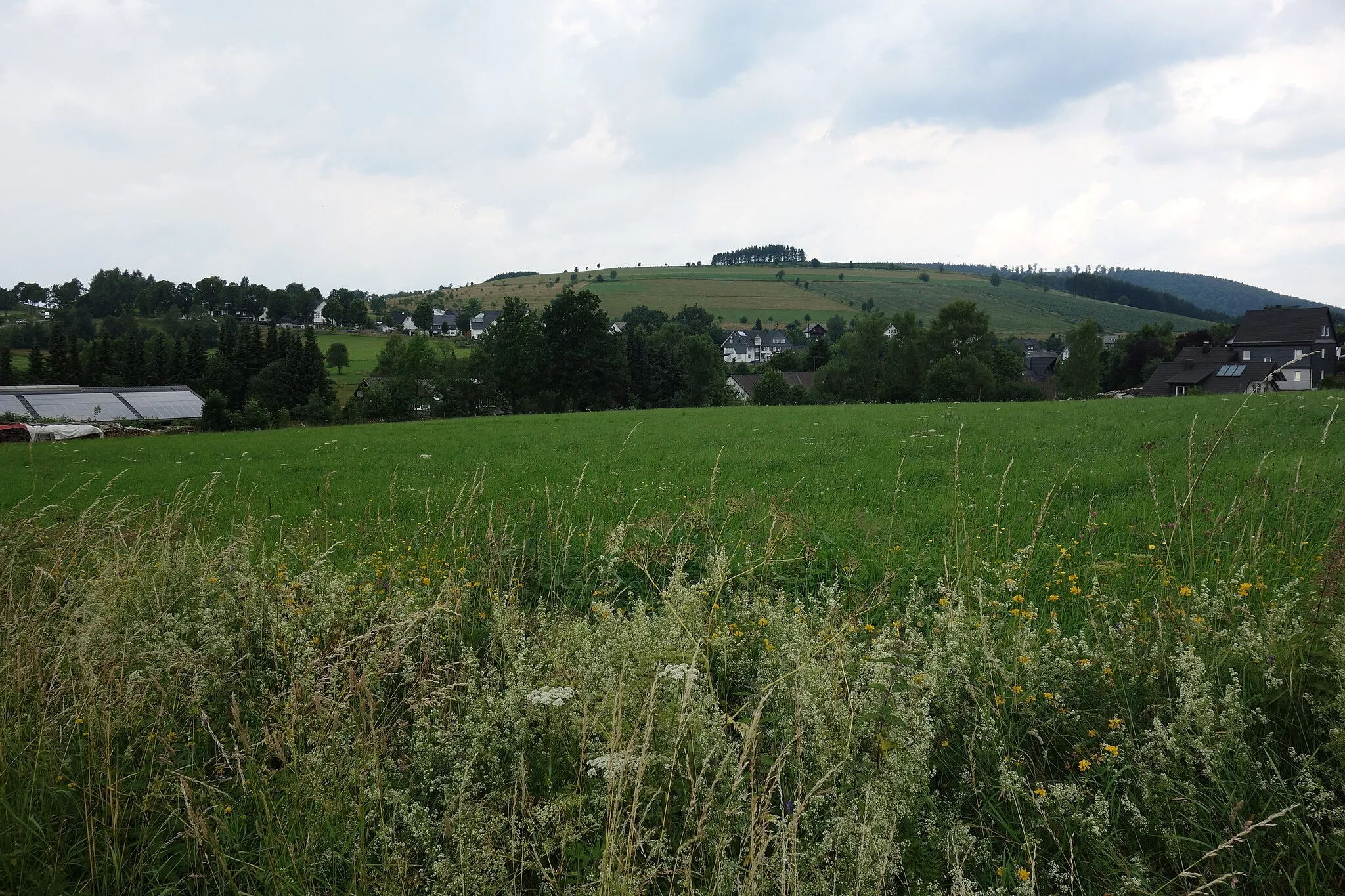 Photo showing: Landschaftsschutzgebiet Bödefelder Mulde im Stadtgebiet Schmallenberg, Blick von Landstraße Richtung Bödefeld noch Norden über Westernbödefeld.