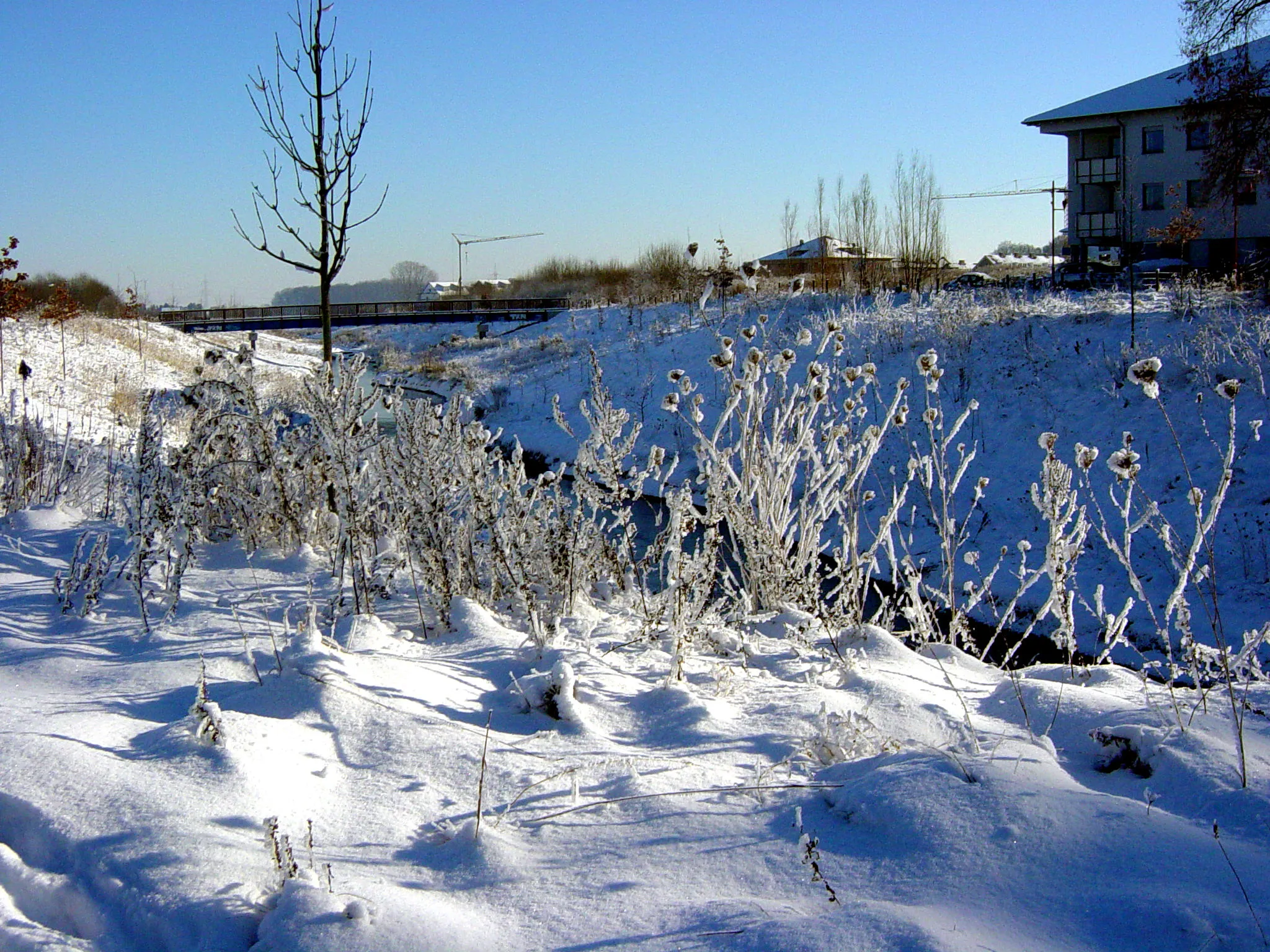 Photo showing: Dortmund-Husen, Winter an der Körne