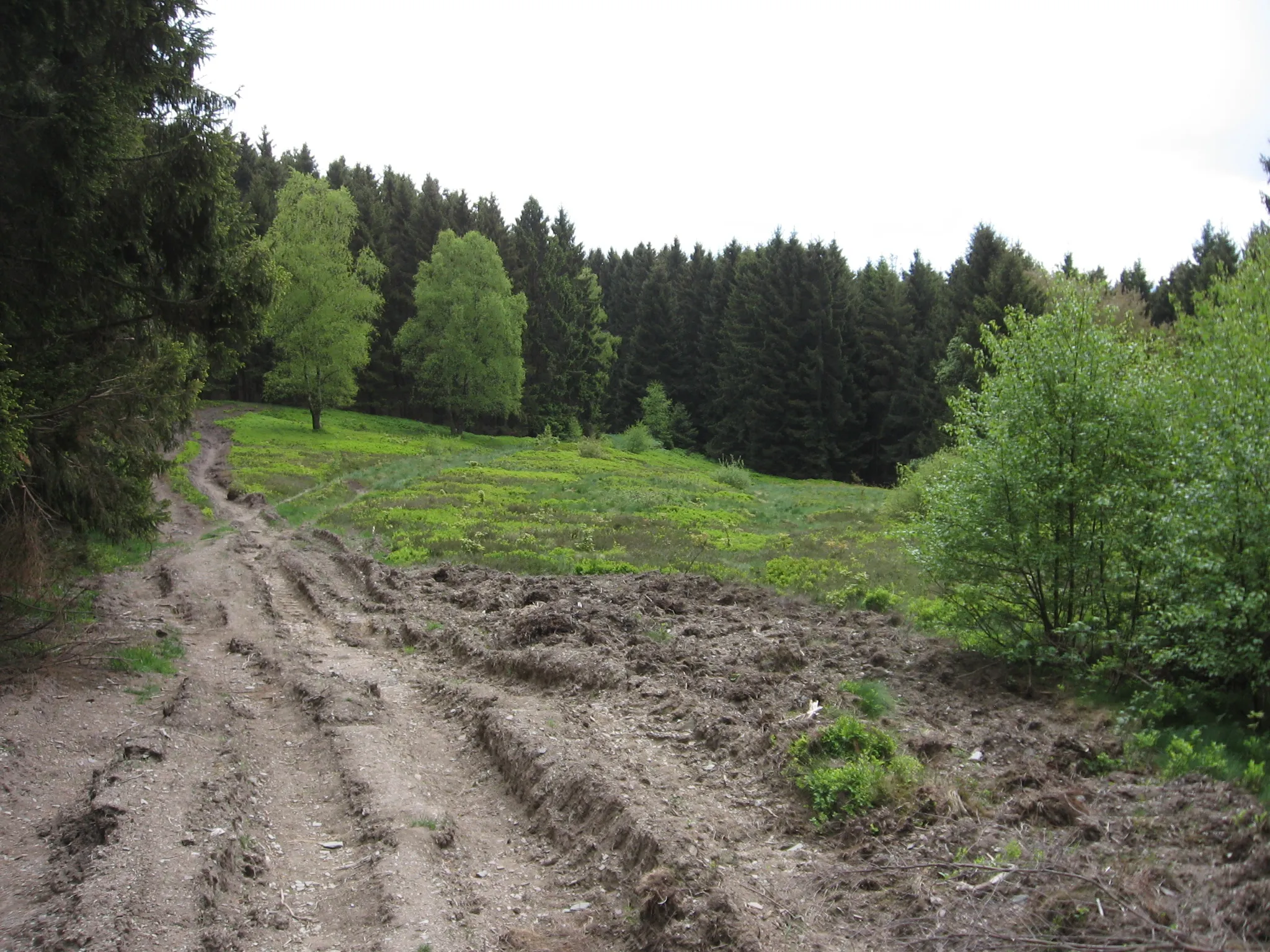 Photo showing: Naturschutzgebiet Gretenberg von Norden.