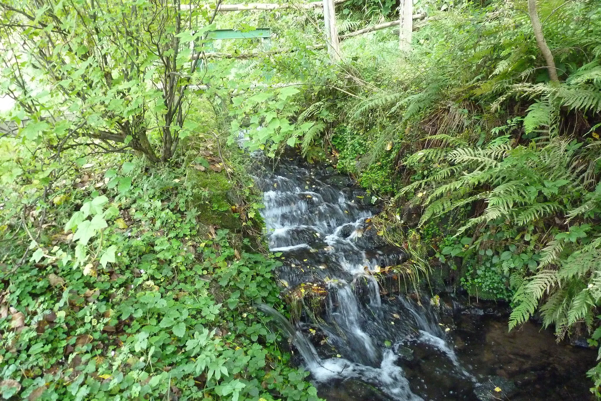 Photo showing: Der Sindernbach an einem Wehr bei der Wassermühle Nenkersdorf