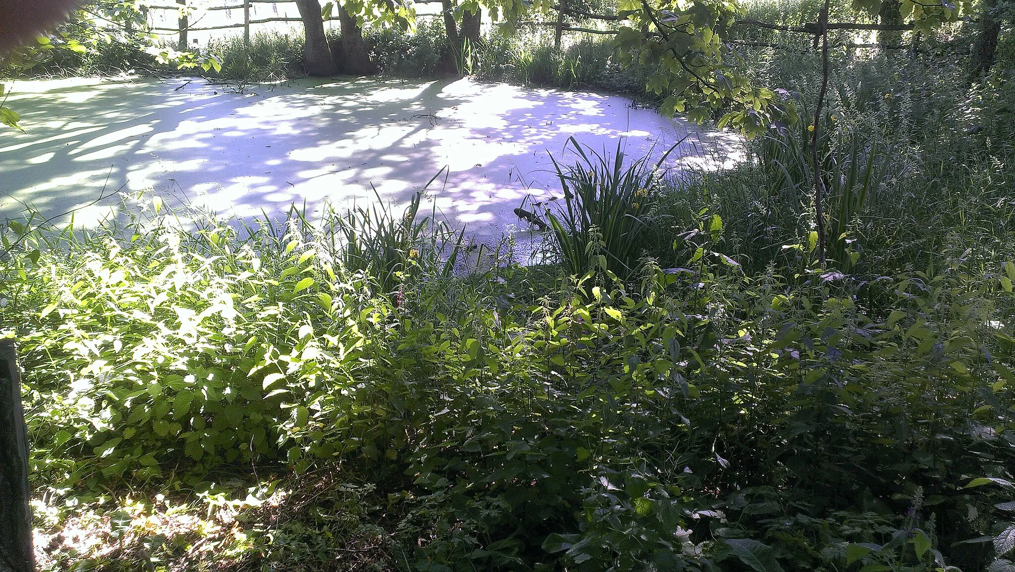 Photo showing: Netphen: Pond with the spring of the river Lahn