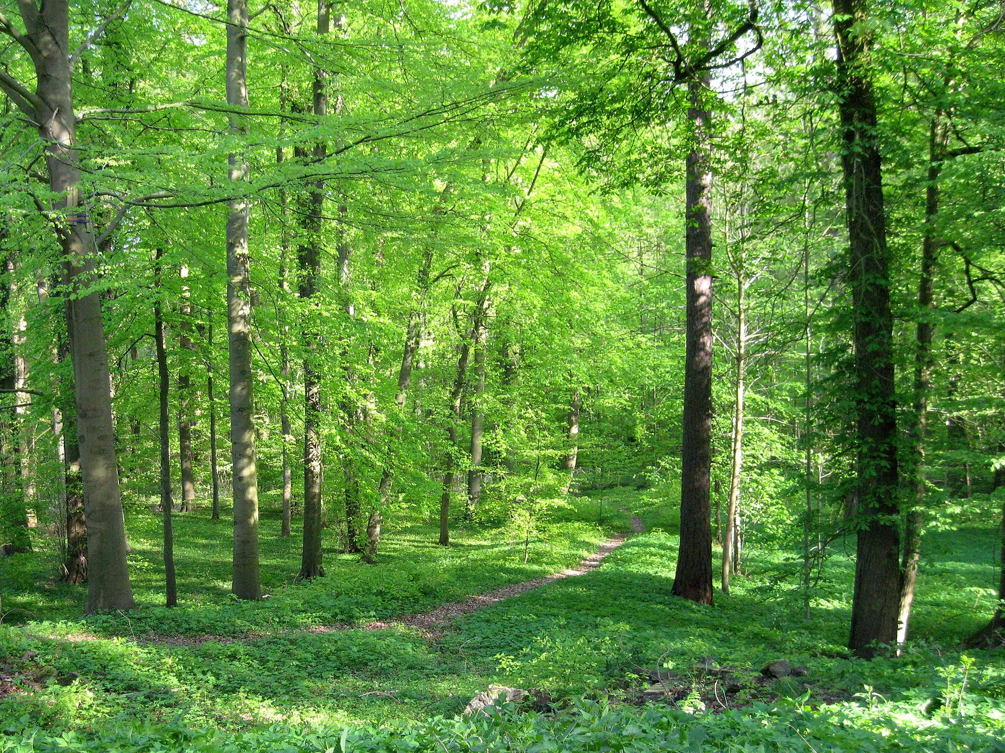 Photo showing: Schlosspark des Ortes Lanke in der Gemeinde Wandlitz, Landkreis Barnim, Land Brandenburg, Deutschland