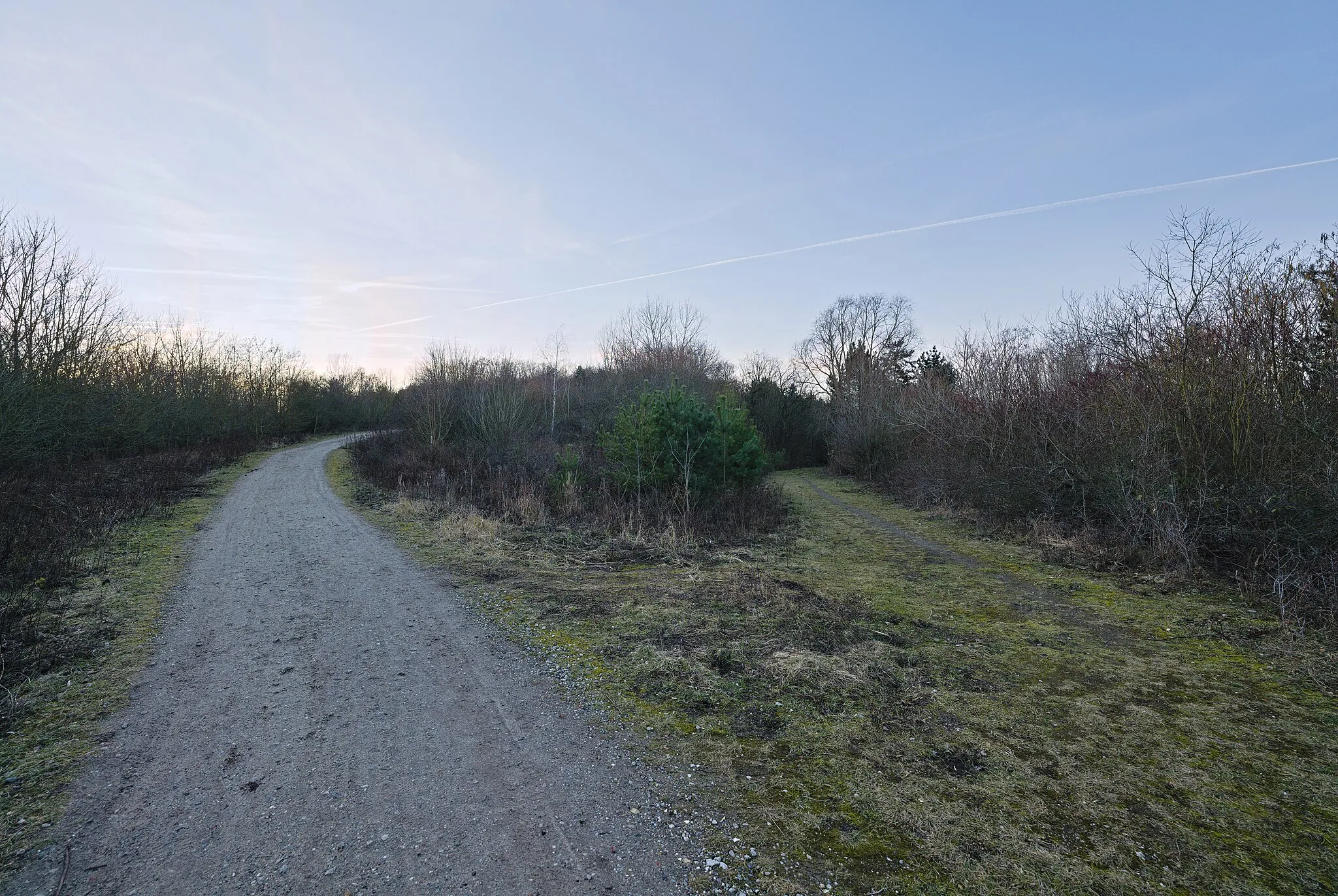 Photo showing: Moritz-Berg and the Wannsee landfill in the protected landscape area Düppeler Forst and the special protection area Westlicher Düppeler Forst.