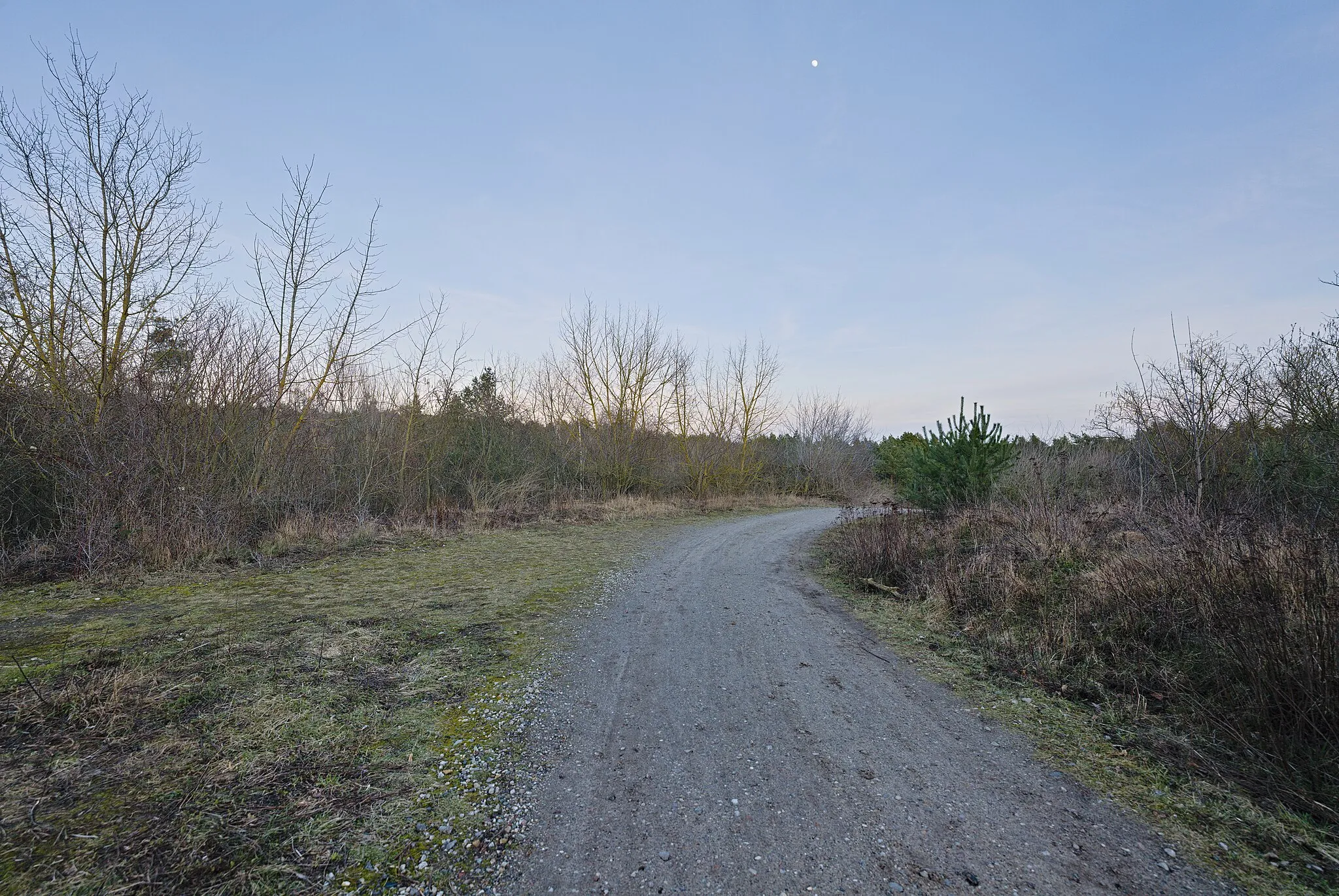 Photo showing: Moritz-Berg and the Wannsee landfill in the protected landscape area Düppeler Forst and the special protection area Westlicher Düppeler Forst.