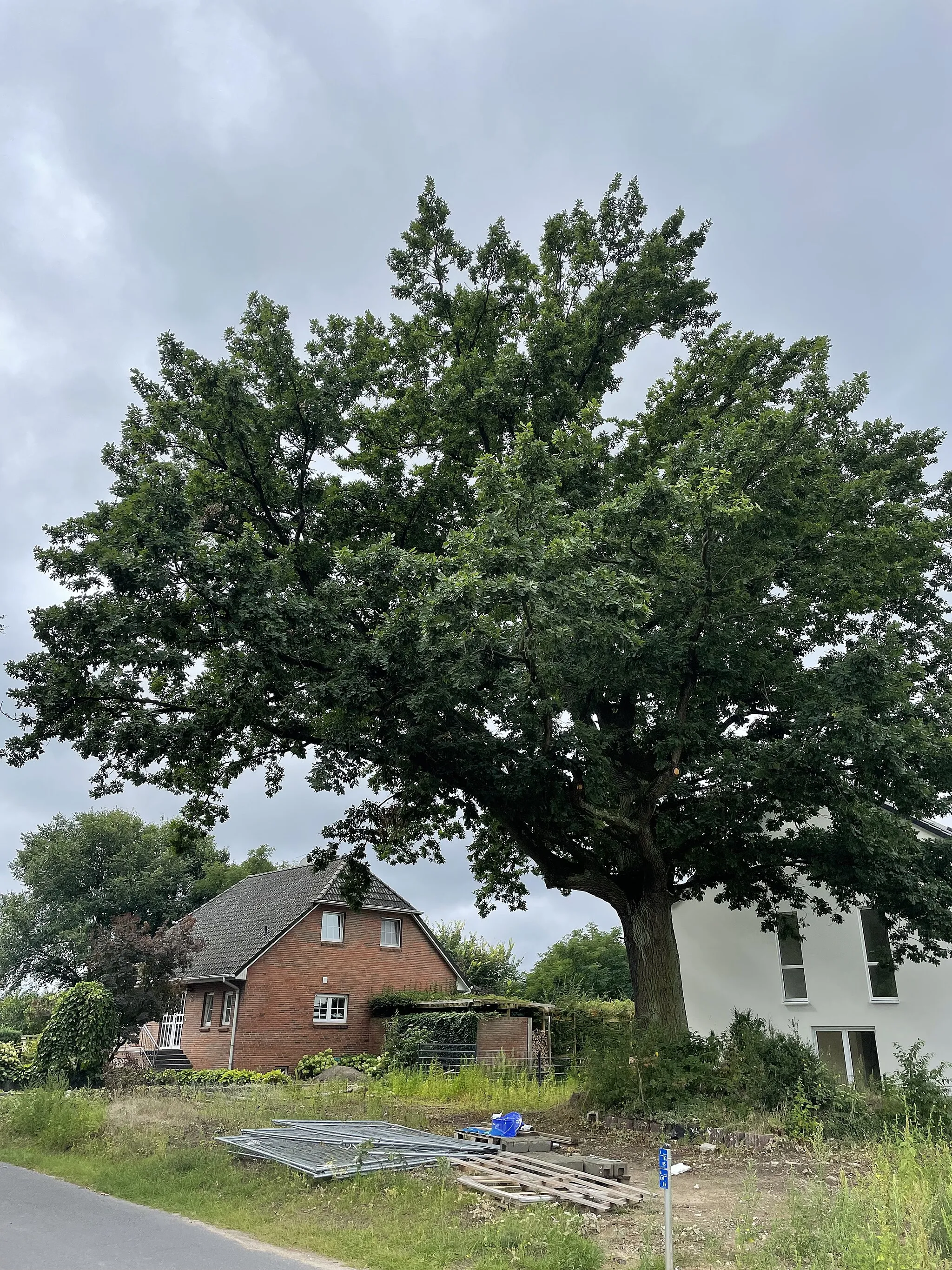 Photo showing: Freienbrink ist ein zum Ortsteil Spreeau gehörender bewohnter Gemeindeteil von Grünheide im Landkreis Oder-Spree in Brandenburg.