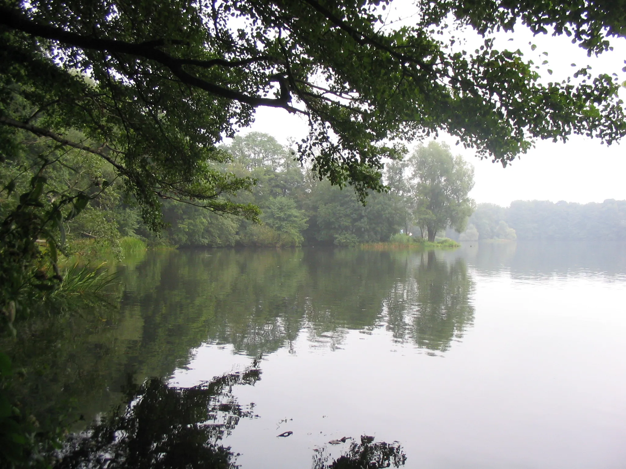 Photo showing: nördlicher Bereich des westlichen Ufers