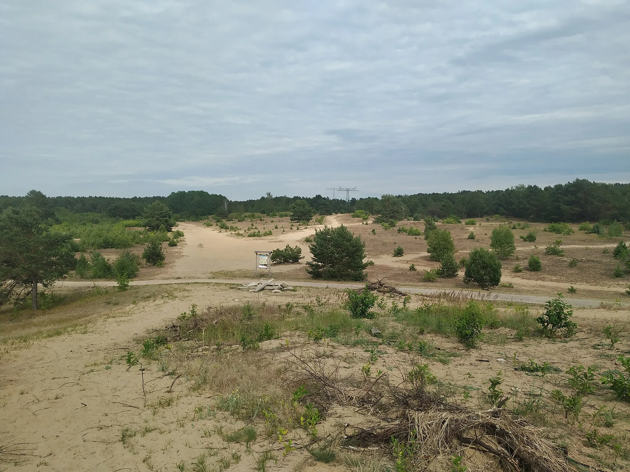 Photo showing: Naturschutzgebiet Schönower Heide in Bernau b. Berlin