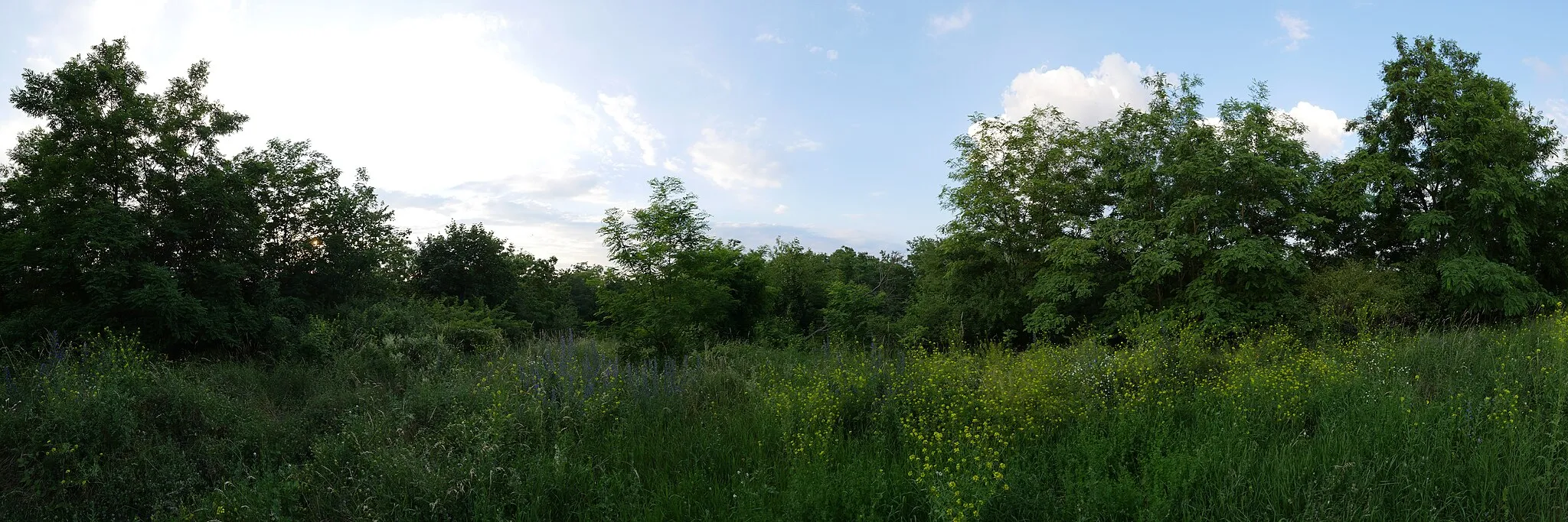 Photo showing: Rundumblick auf dem Schlehenberg in Berlin-Marienfelde