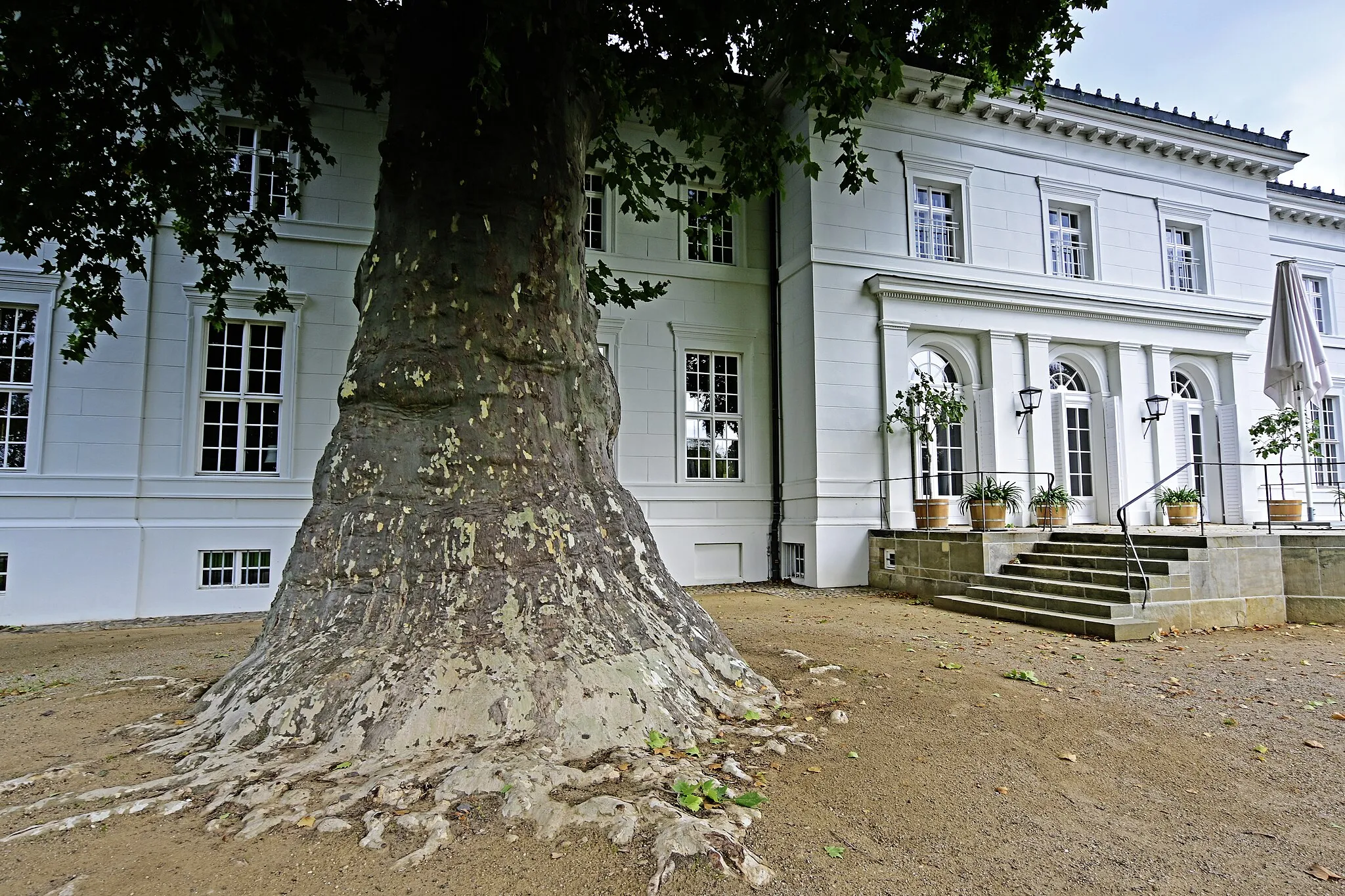 Photo showing: schloß Neuhardenberg