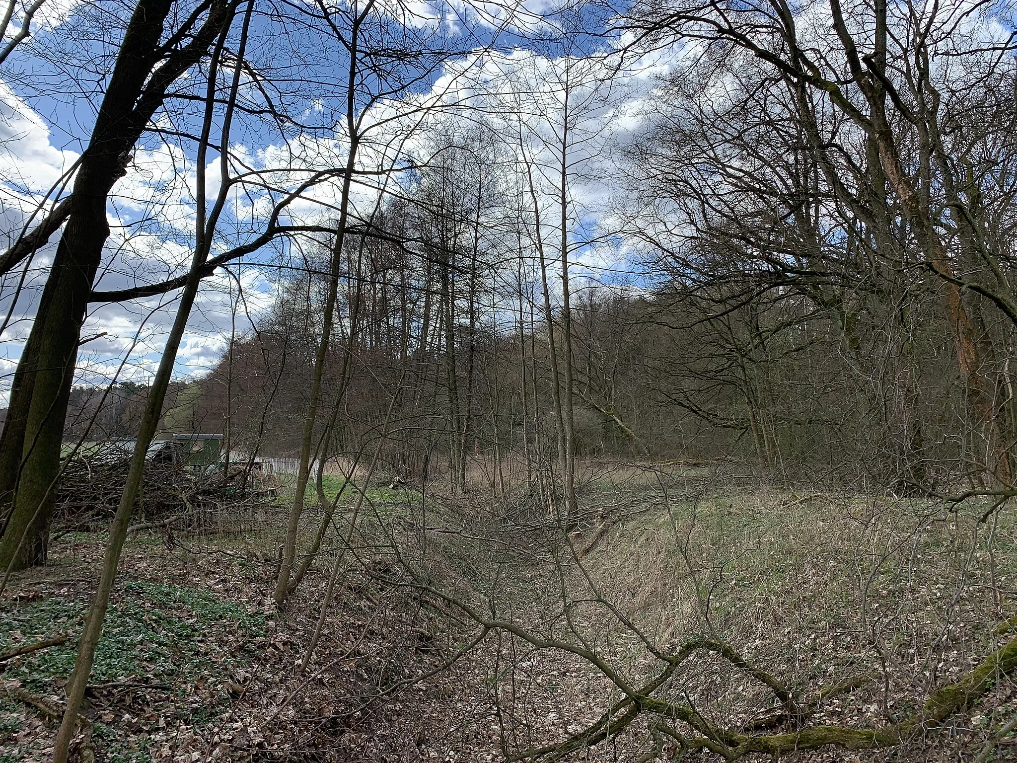 Photo showing: Der Schafgraben ist ein Meliorationsgraben und rechter Zufluss des Königsgrabens Tremsdorf in Brandenburg.